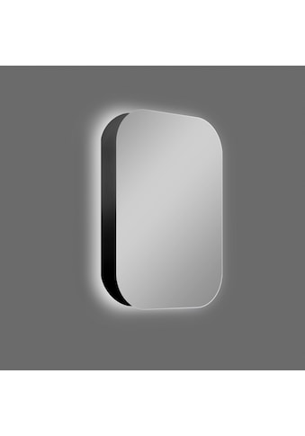Badezimmerspiegelschrank, oval, BxH: 40x60 cm, aus Alumunium und Echtglas, IP24