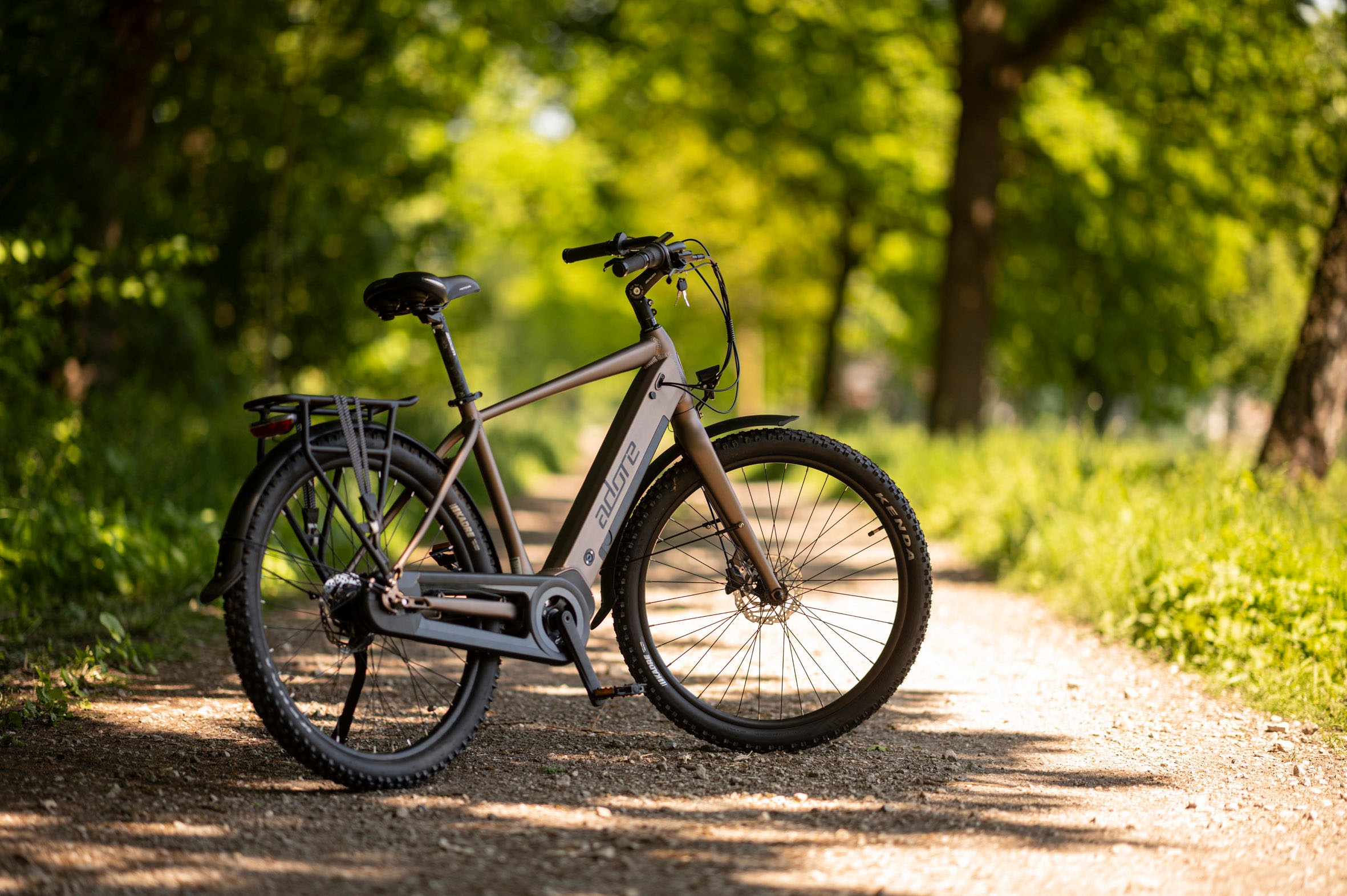 Adore E-Bike »CX-290«, 8 Gang, Shimano, Nexus, Mittelmotor 250 W, Pedelec, Elektrofahrrad für Damen u. Herren