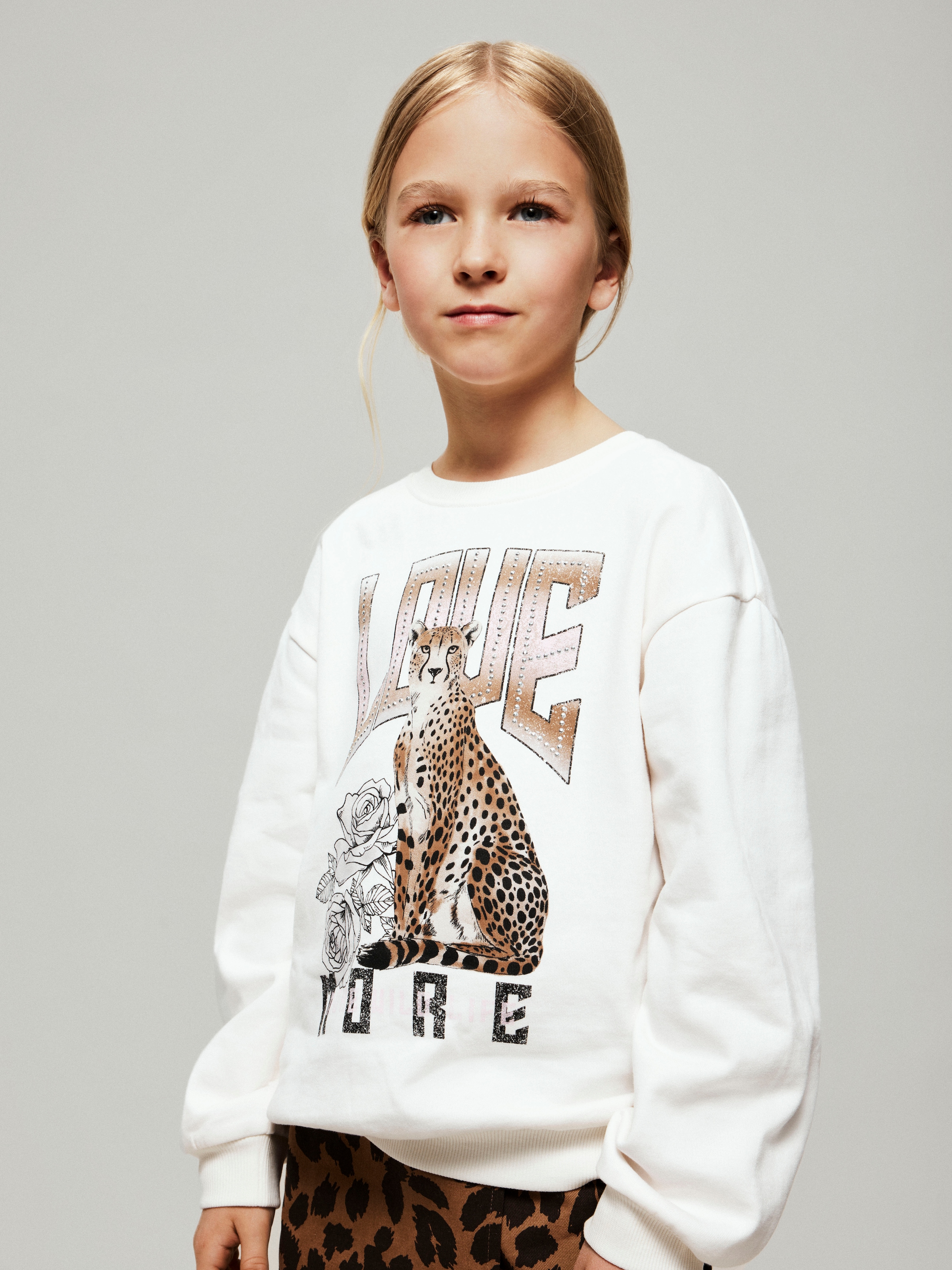 Name It Sweatshirt »NKFBEO LS NREG SWEAT BRU BOX«
