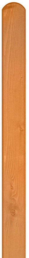 BM Massivholz Zaunpfosten »EA5Y-F1X 2«, 100 cm Höhe
