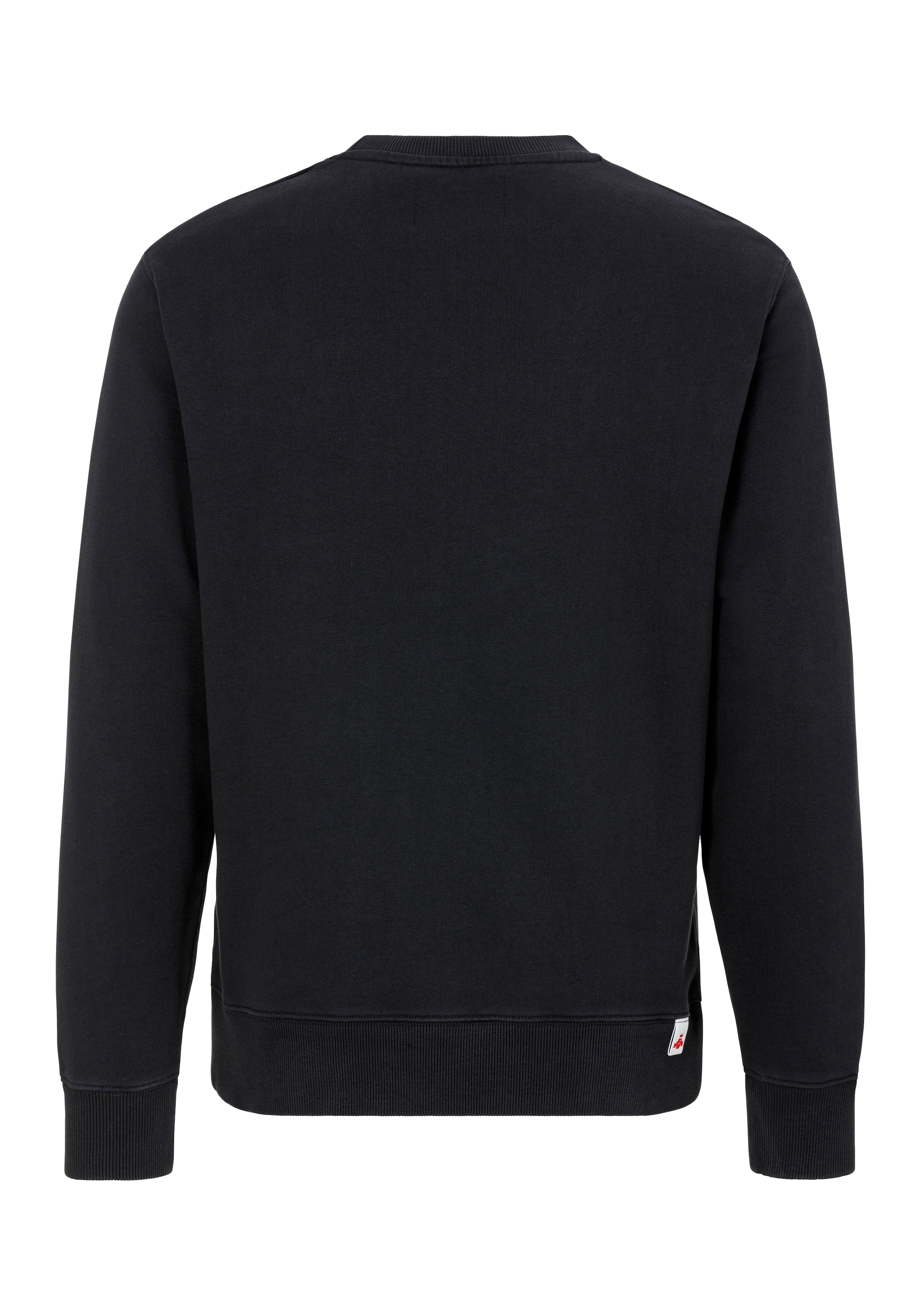 Replay Sweatshirt, mit Stickerei auf der Brust