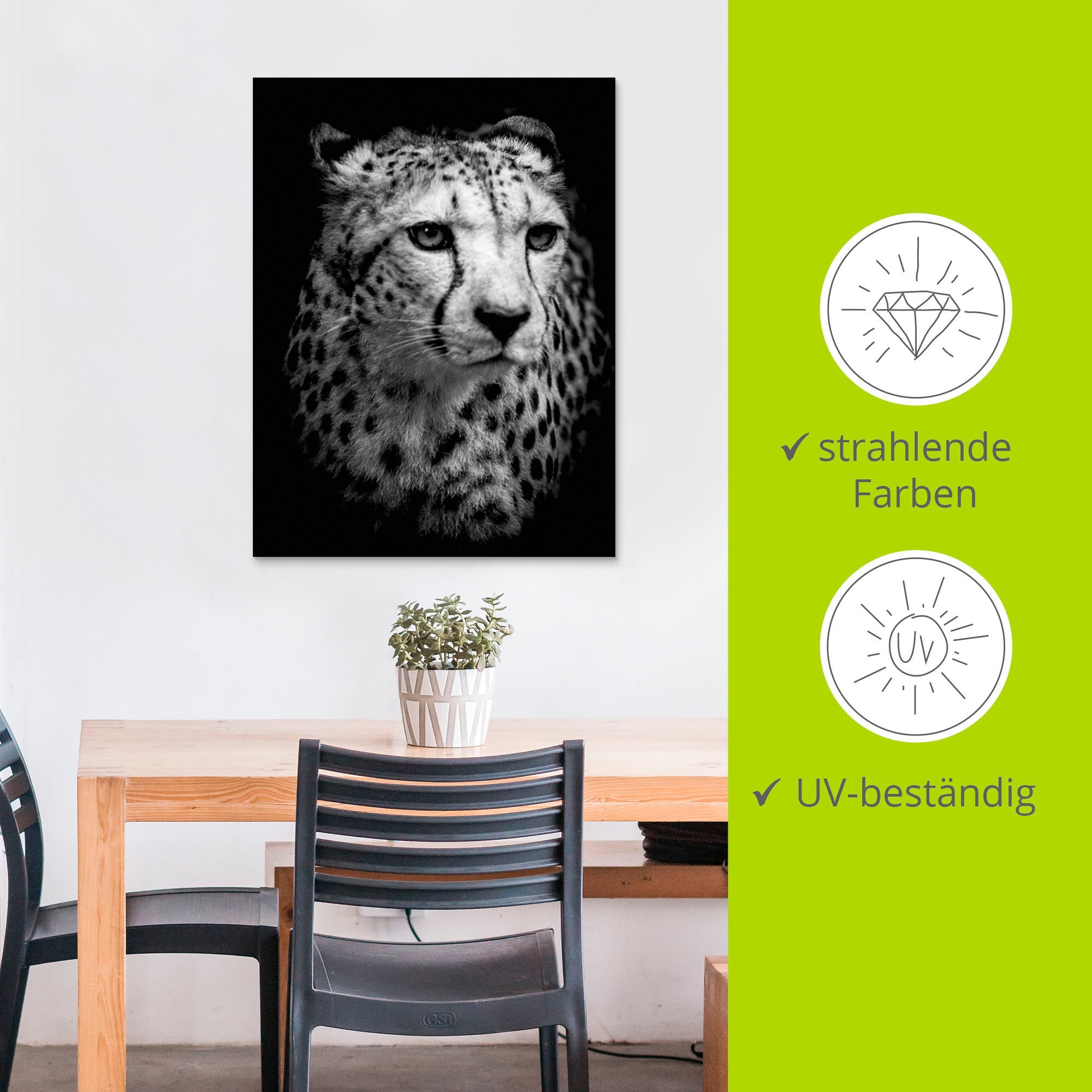 Artland Wandbild »Der Gepard«, Wildtiere, (1 St.), als Alubild, Outdoorbild, Leinwandbild, Wandaufkleber, versch. Größen