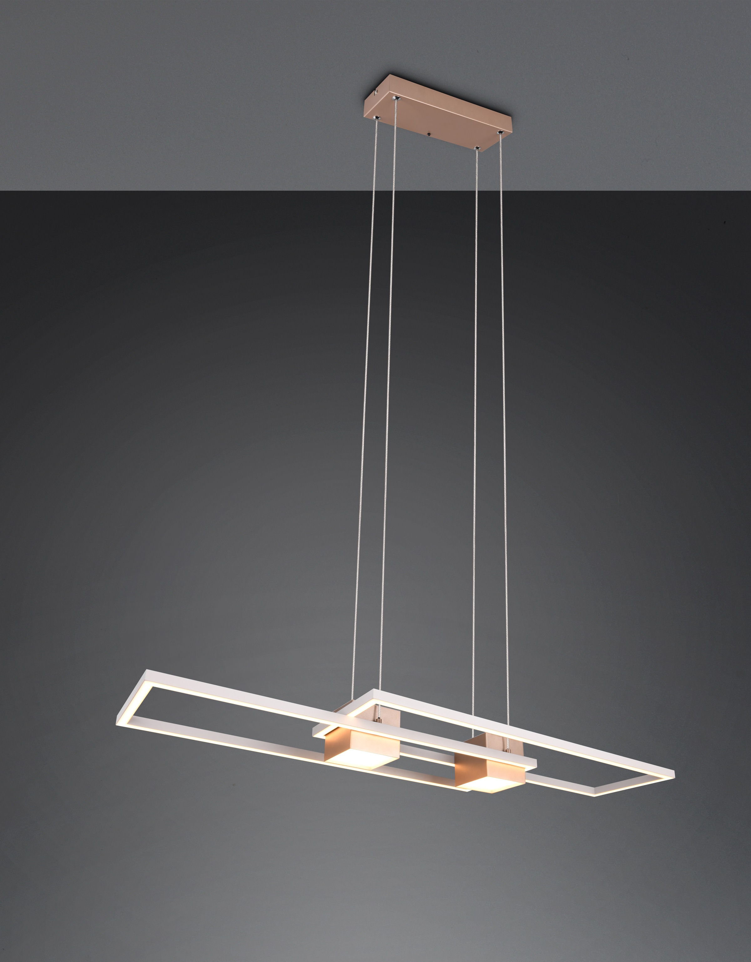 TRIO Leuchten LED Pendelleuchte »ALBANY, LED Hängelampe Wohnzimmer mit Fernbedienung, dimmbar, CCT« LED-Board 1 Stk. warmweiß - kaltweiß Lichtfarbe einstellbar, Memoryfunktion, Nachtlicht, up-and-down Licht