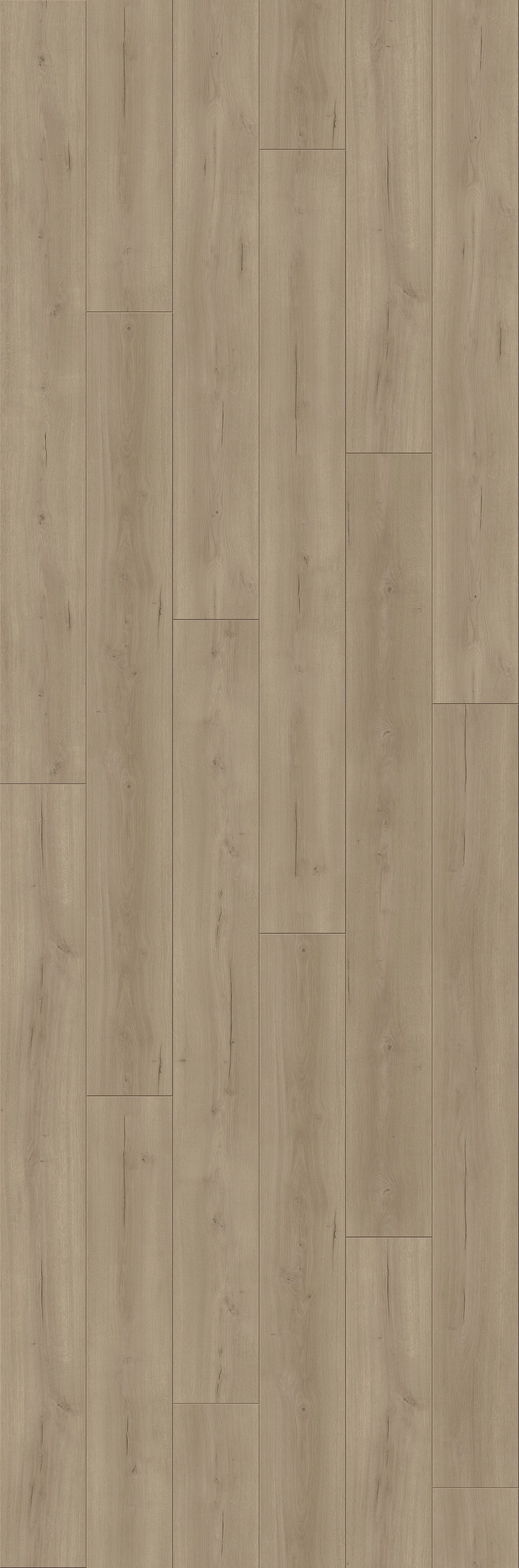 PARADOR Laminat »Trendtime 6 - Eiche Loft Grau«, (Packung), spezielle Trägerplatte, 2200 x 243 mm, Stärke: 9 mm