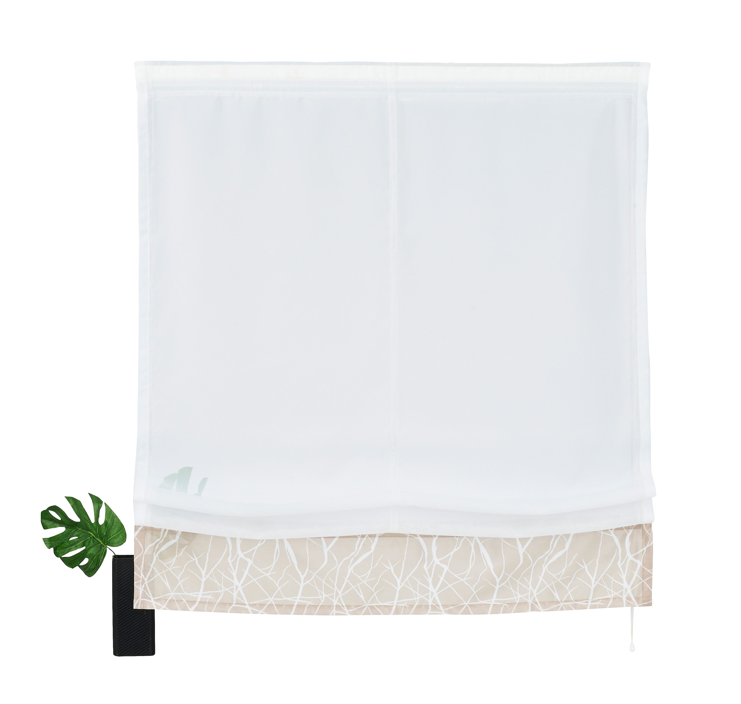 Klettband, kaufen OTTO home Polyester my bei Transparent, »Camposa«, Voile, mit Raffrollo