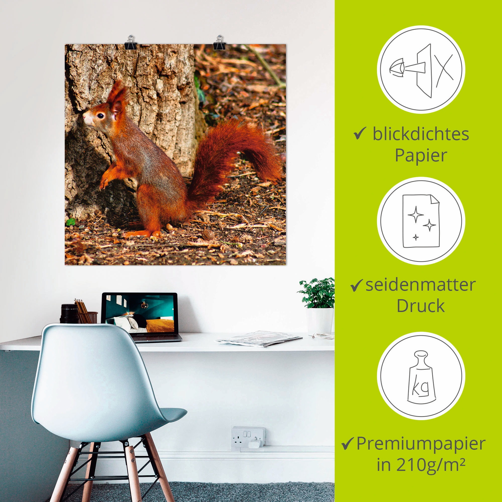 Artland Wandbild »Rotes Eichhörnchen will hoch hinaus«, Wildtiere, (1 St.), als Poster, Wandaufkleber in verschied. Größen