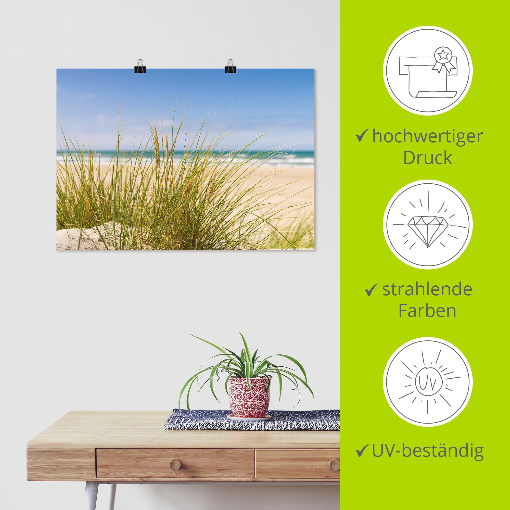 Artland Wandbild »Dünengras«, Strand, (1 St.), als Alubild, Outdoorbild, Leinwandbild, Poster in verschied. Größen