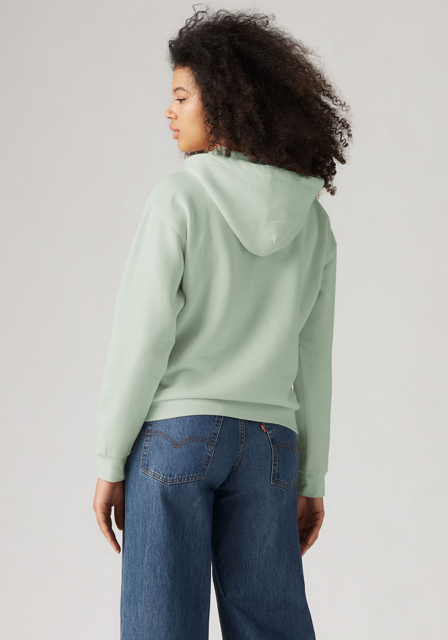 Levi's® Hoodie »GRAPHIC EVERYDAY HOODIE«