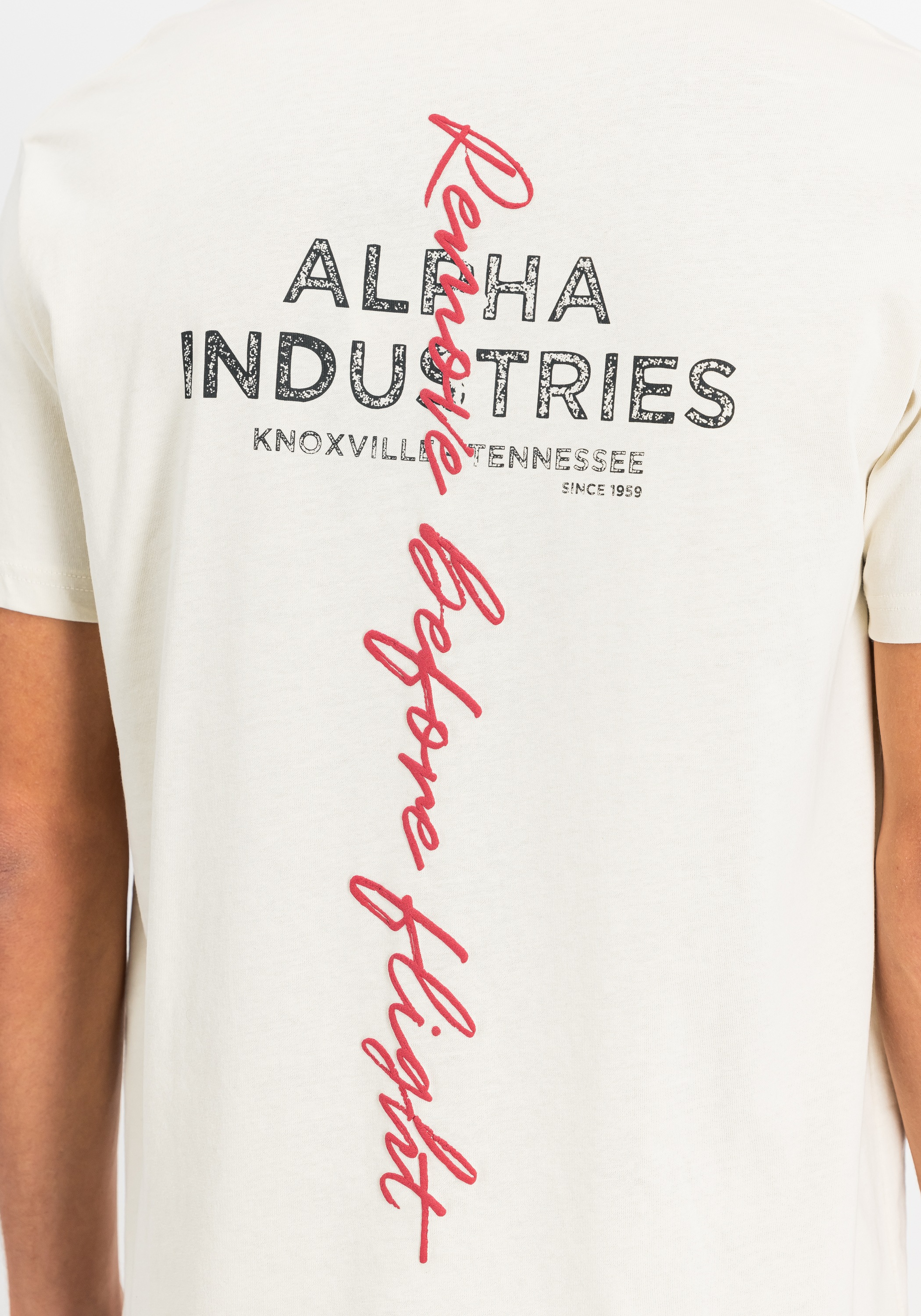 Alpha Industries T-Shirt »Alpha Industries Men - T-Shirts Signature Backprint T-Shirt«