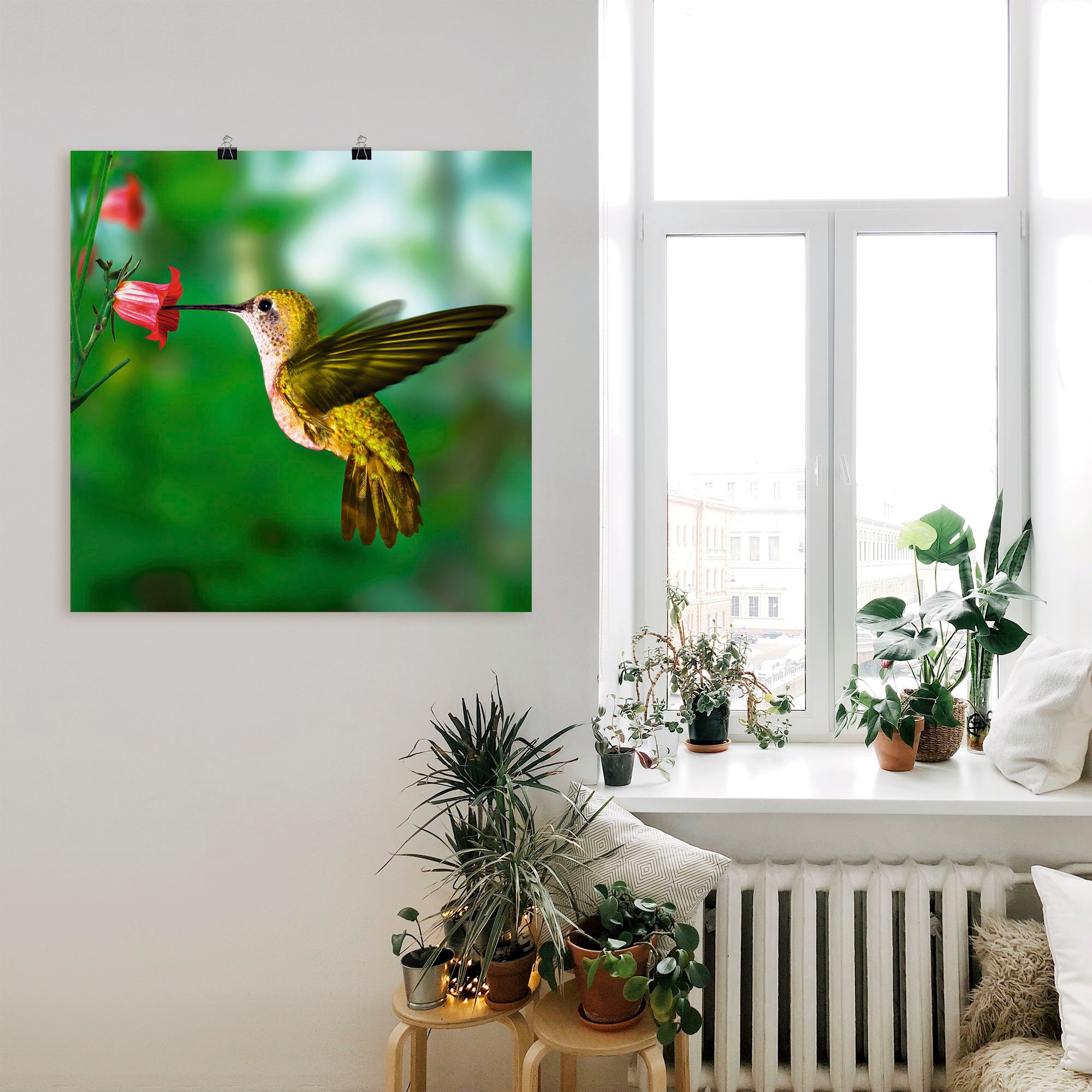 Artland Wandbild »Kolibri«, Vögel, (1 St.), als Alubild, Outdoorbild, Leinwandbild, Poster in verschied. Größen