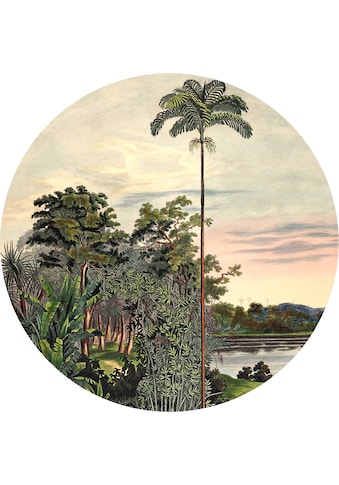 Komar Fototapete »Vintage Landscape«, Comic-botanisch, 125 x 125 cm kaufen