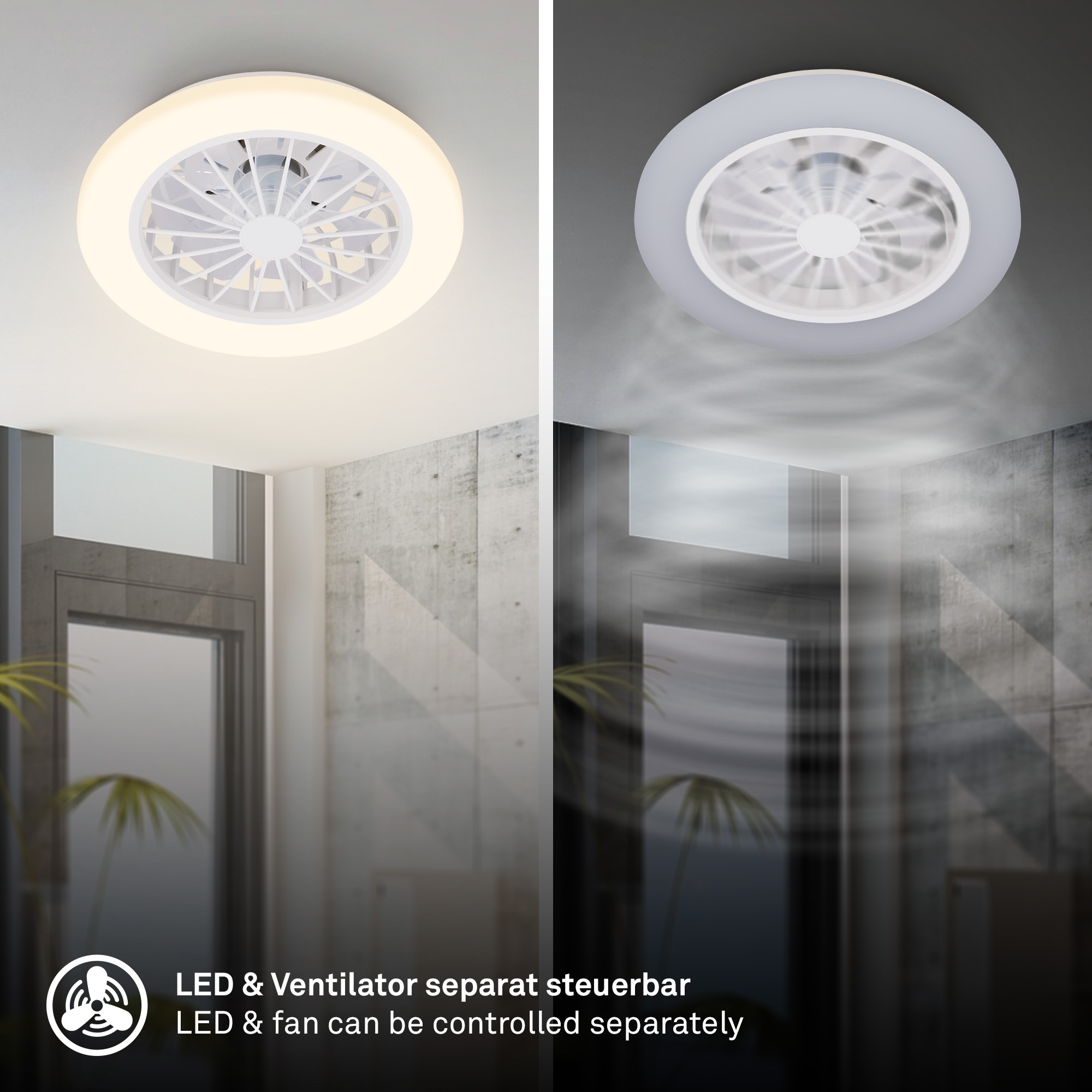 Briloner Leuchten LED Deckenleuchte »PAFO« LED-Board 1 Stk. warmweiß - kaltweiß 38 x 14 cm (DxH), Schlafzimmer, Wohnzimmer, Esszimmer, Flur, Küche