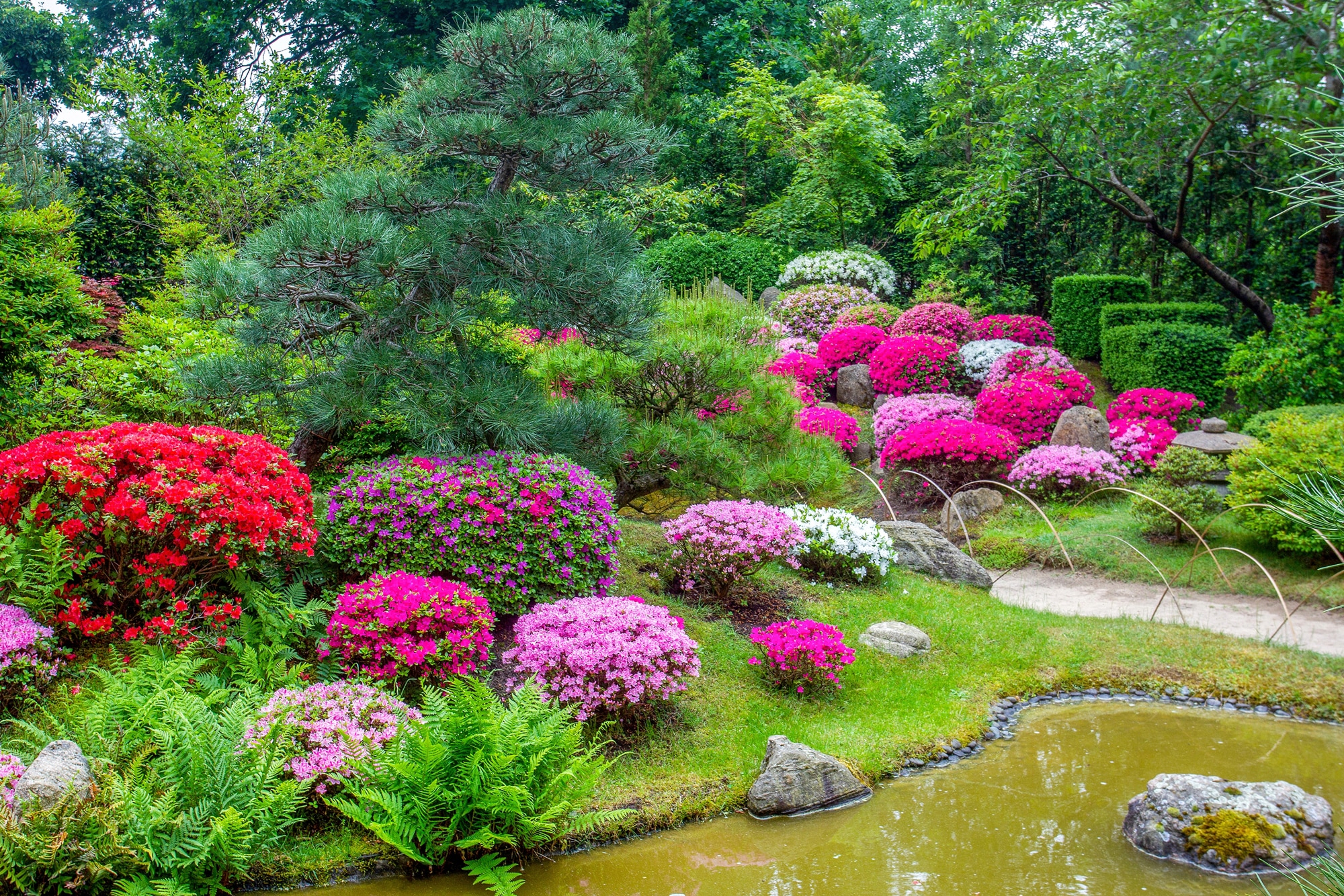 Papermoon Fototapete »GARTEN-BLUMEN BÄUME PFLANZEN STEINE WALD PARK BLÜTEN«