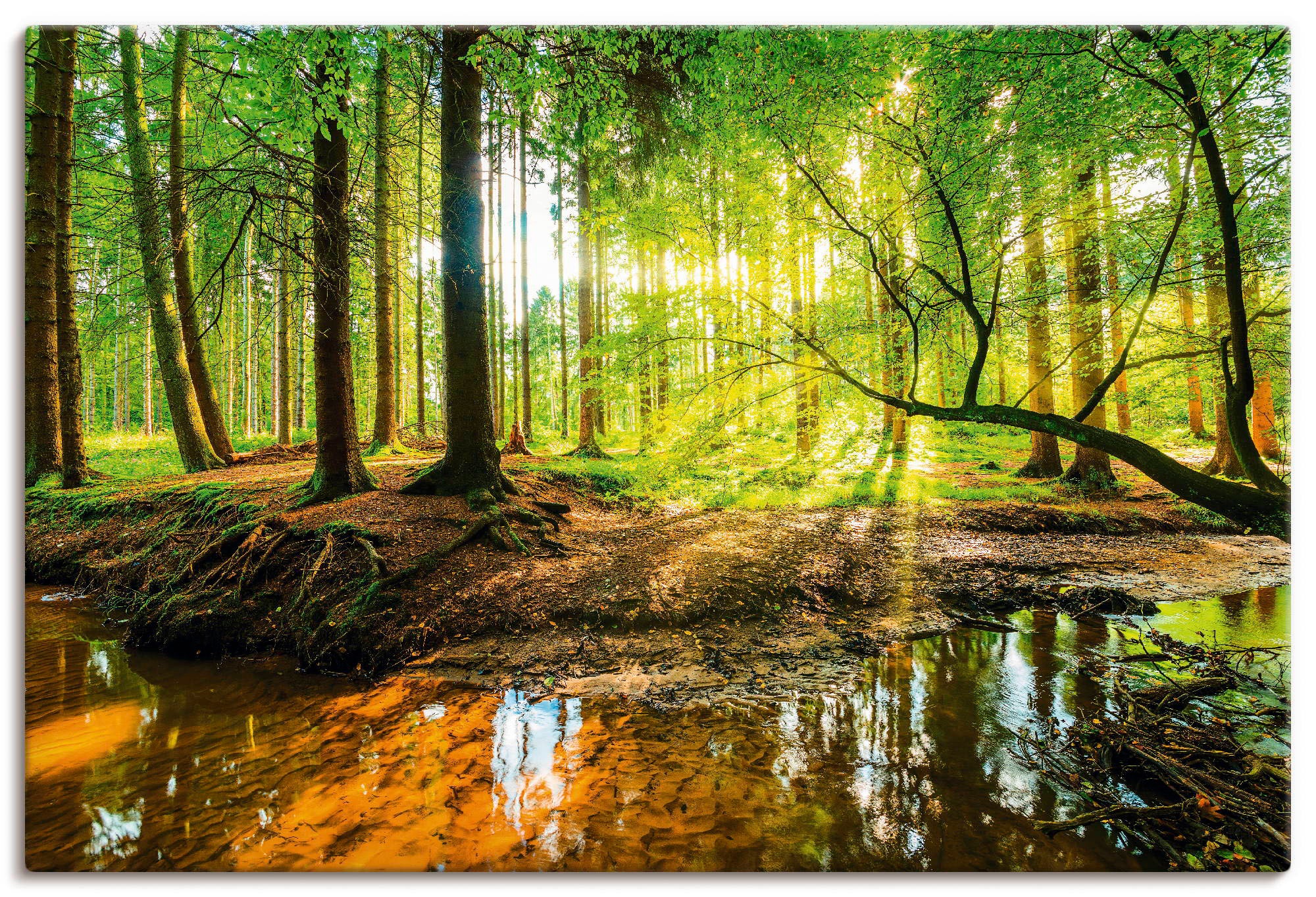 Artland Wandbild »Wald mit Bach«, Wald, (1 St.)