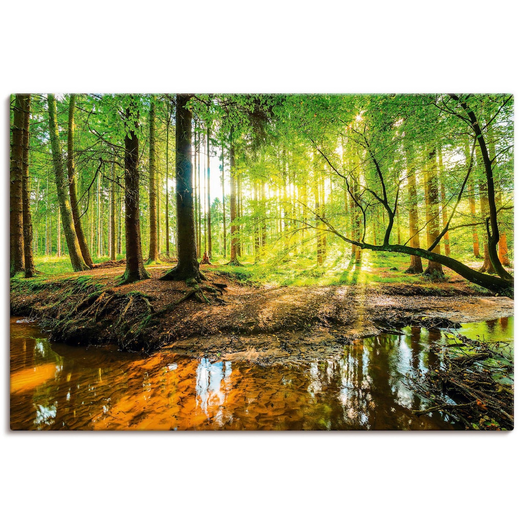 Artland Wandbild »Wald mit Bach«, Wald, (1 St.)