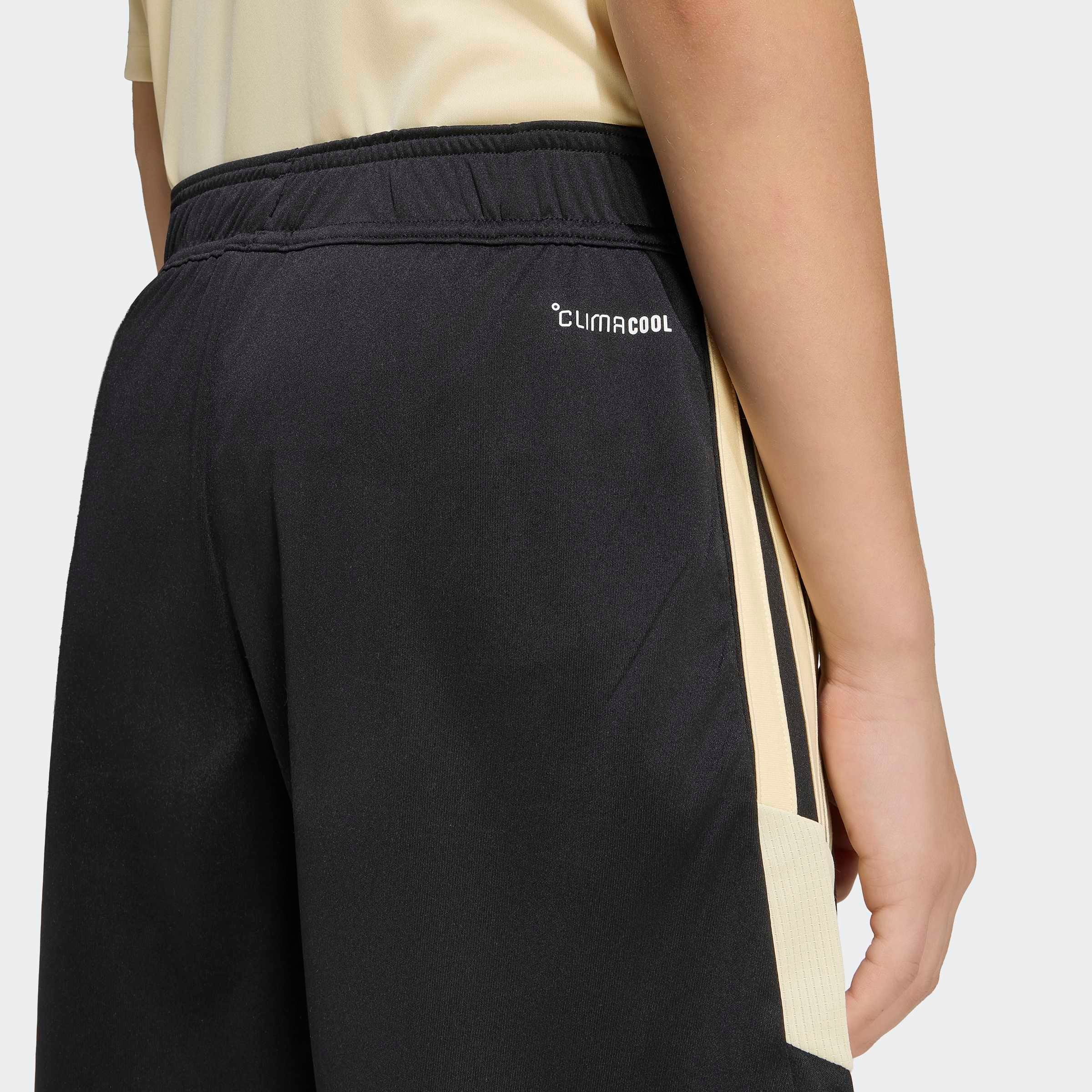 adidas Performance Trainingsshorts »TIRO ES SHO Y«