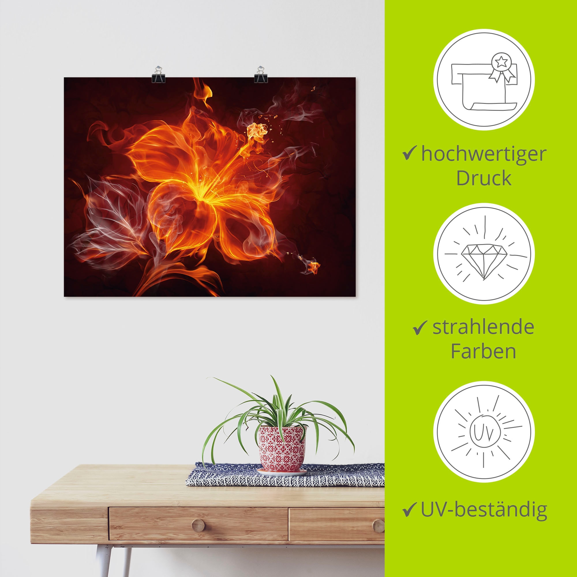 Artland Wandbild »Feuerblume« Blumen 1 Stk. tlg. als Leinwandbild, Poster in verschied. Größen