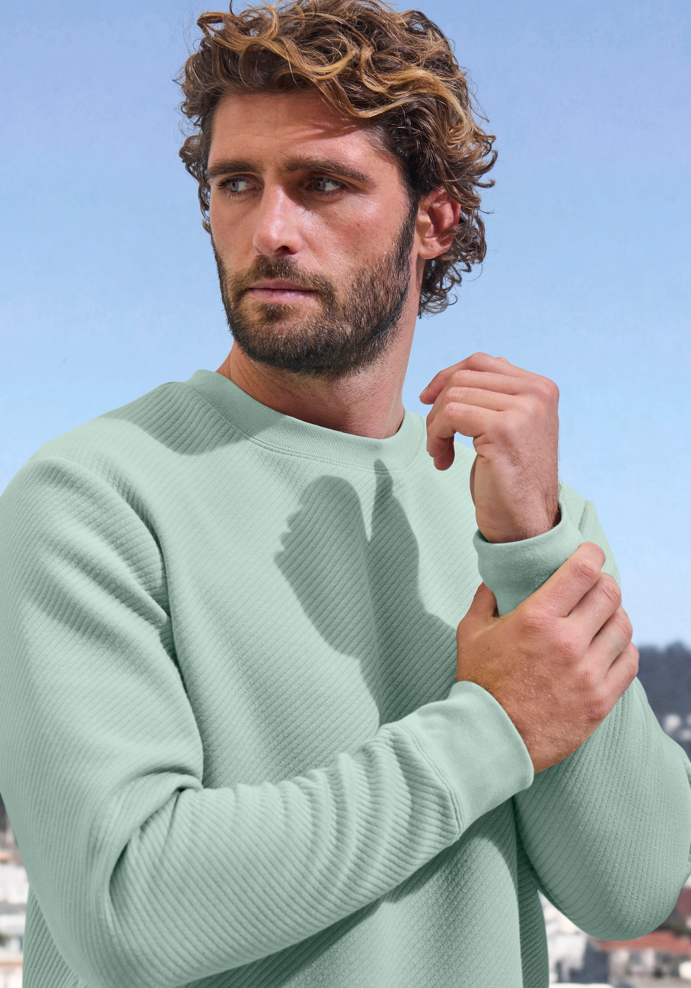 John Devin Sweatshirt, Langarm, Sweatshirt mit Struktur, Rundhals, Baumwollmischung