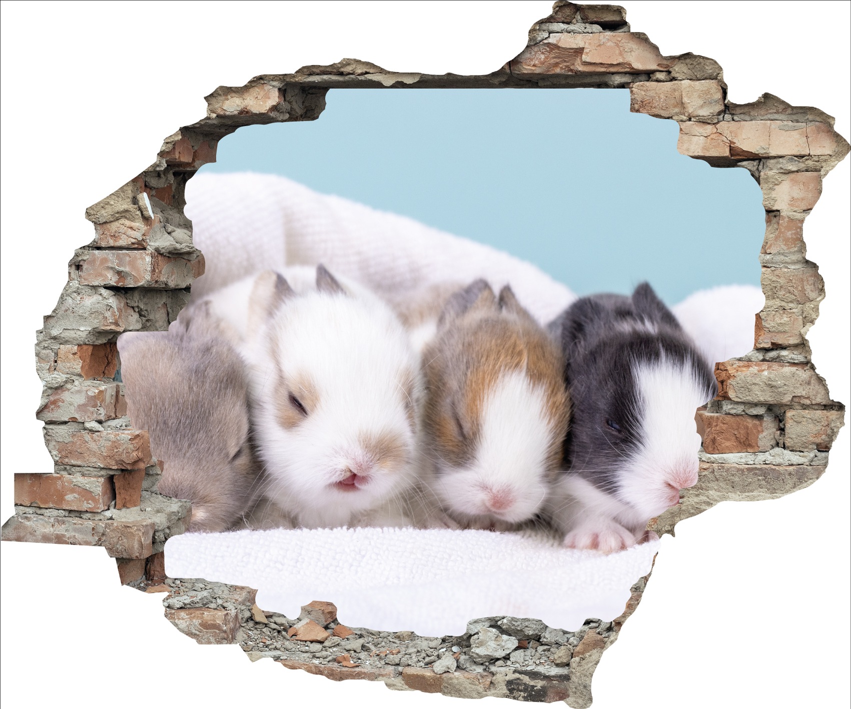 queence 3D-Wandtattoo »Hasenbabies« Selbstklebender Wandsticker Ostern Wanddurchbruch 60x50cm