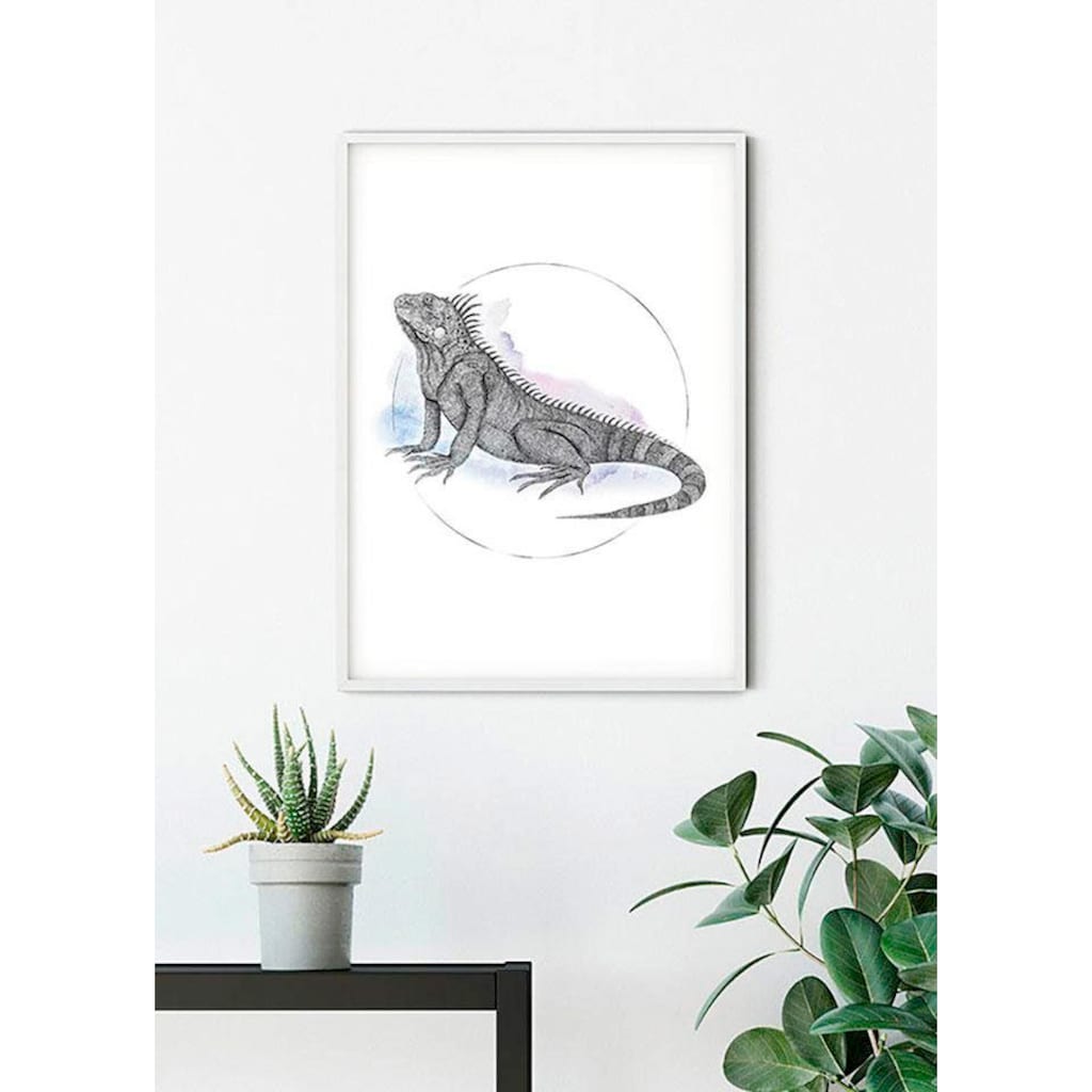 Komar Poster »Iguana Watercolor«, Tiere, (1 St.)