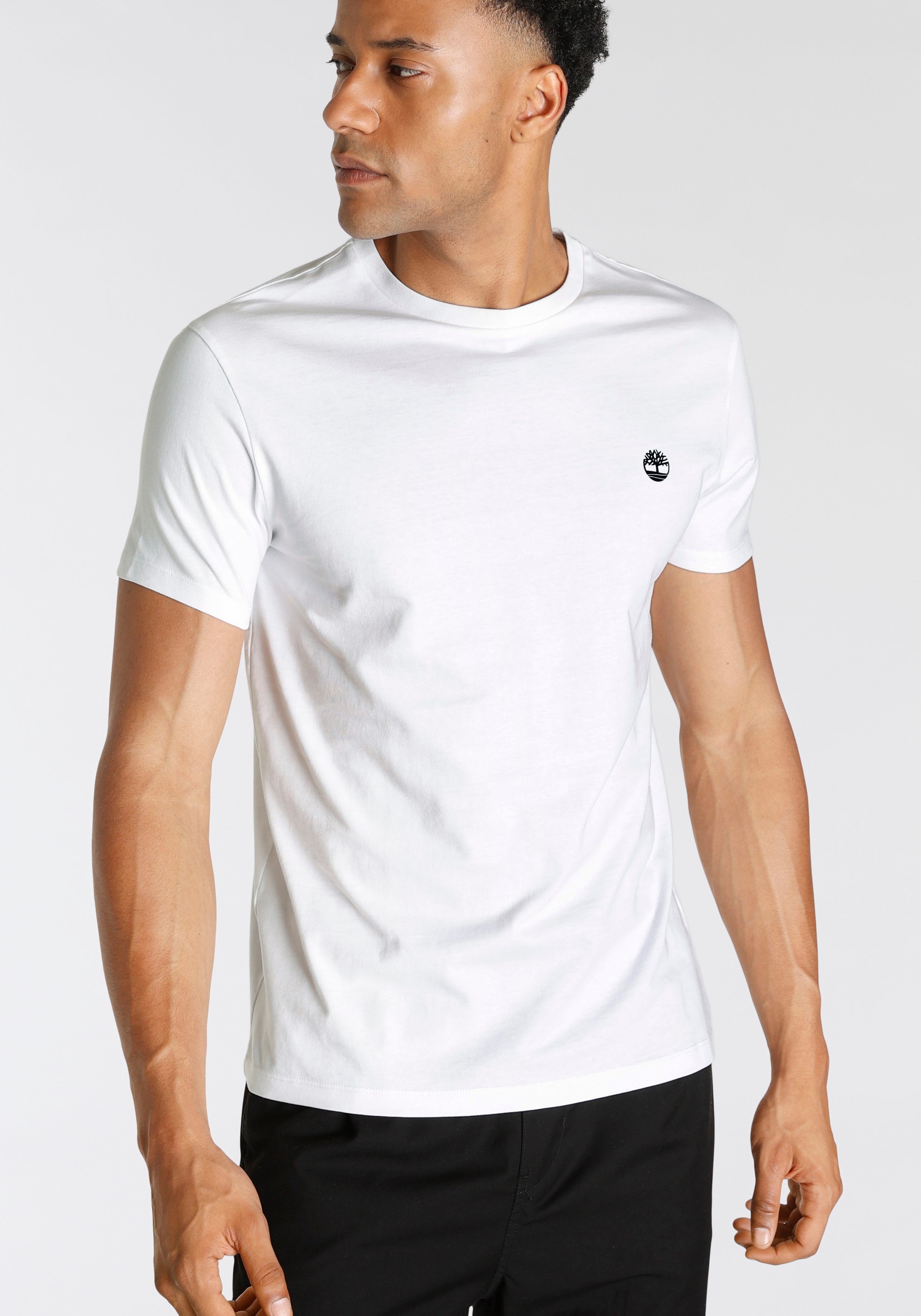Timberland T-Shirt »DUNSTAN RIVER 3xPack Tee«, (Set, 3 tlg.)