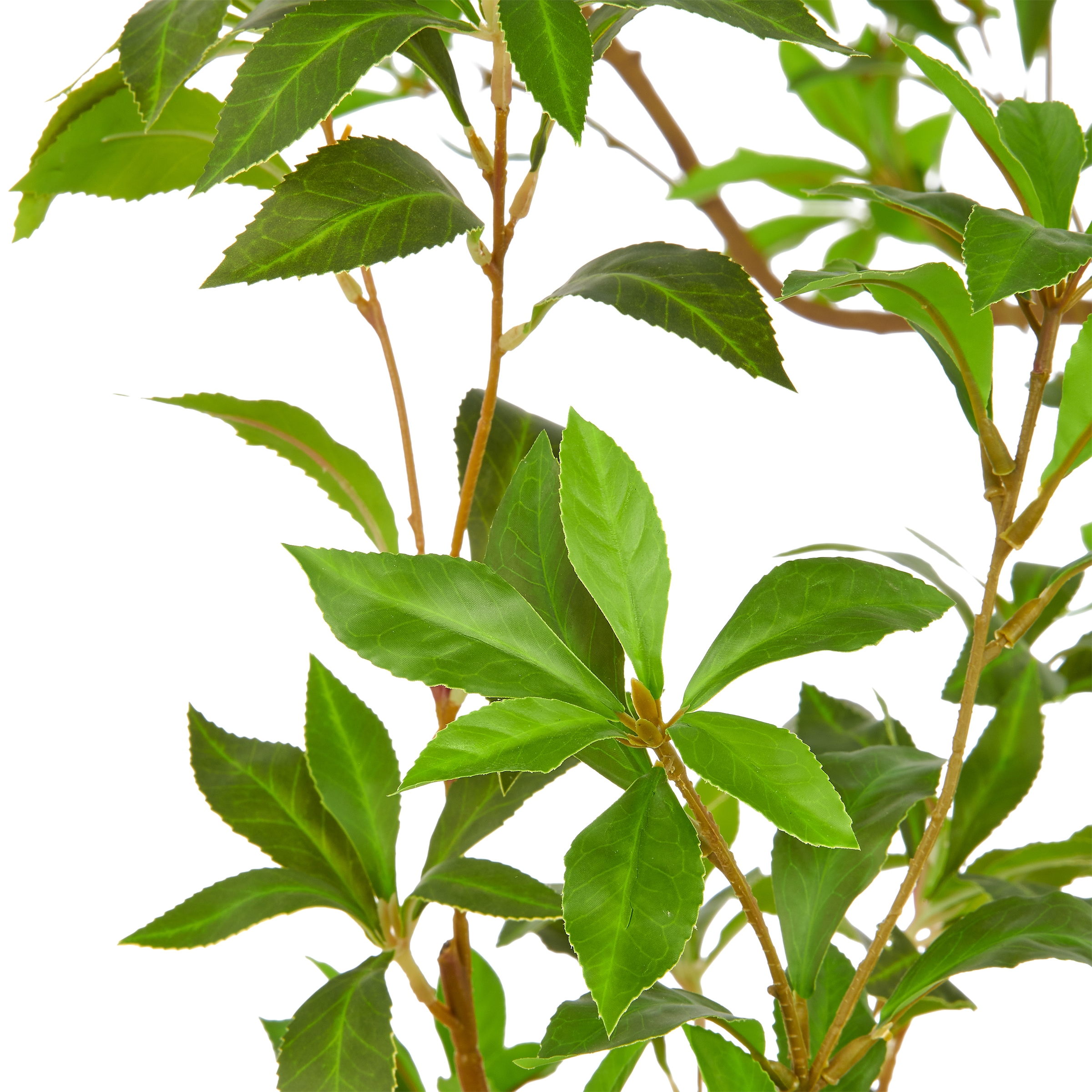 Creativ green Kunstbaum »Pieris japonica« in beeindruckender Größe