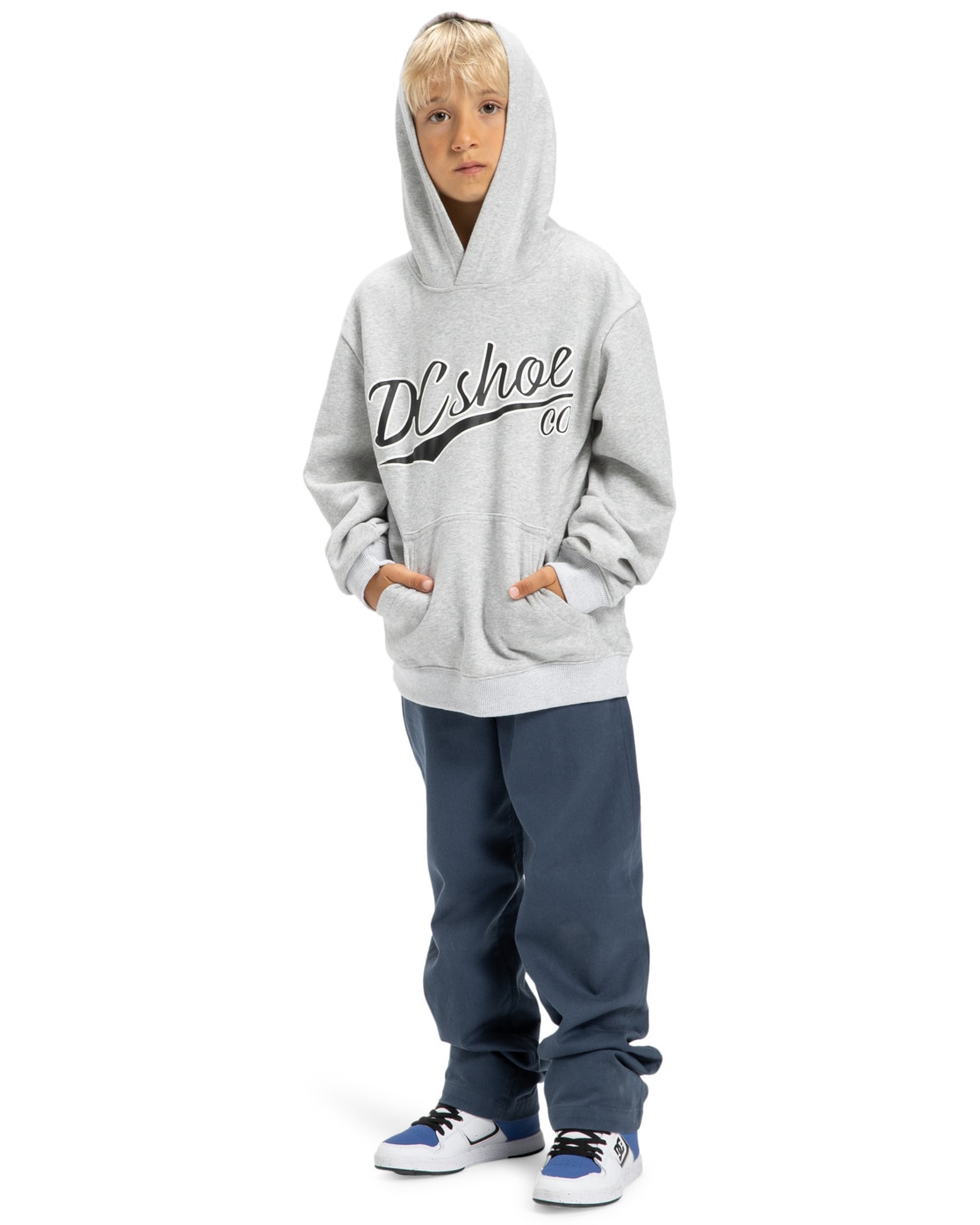DC Shoes Kapuzensweatshirt »Substitute«