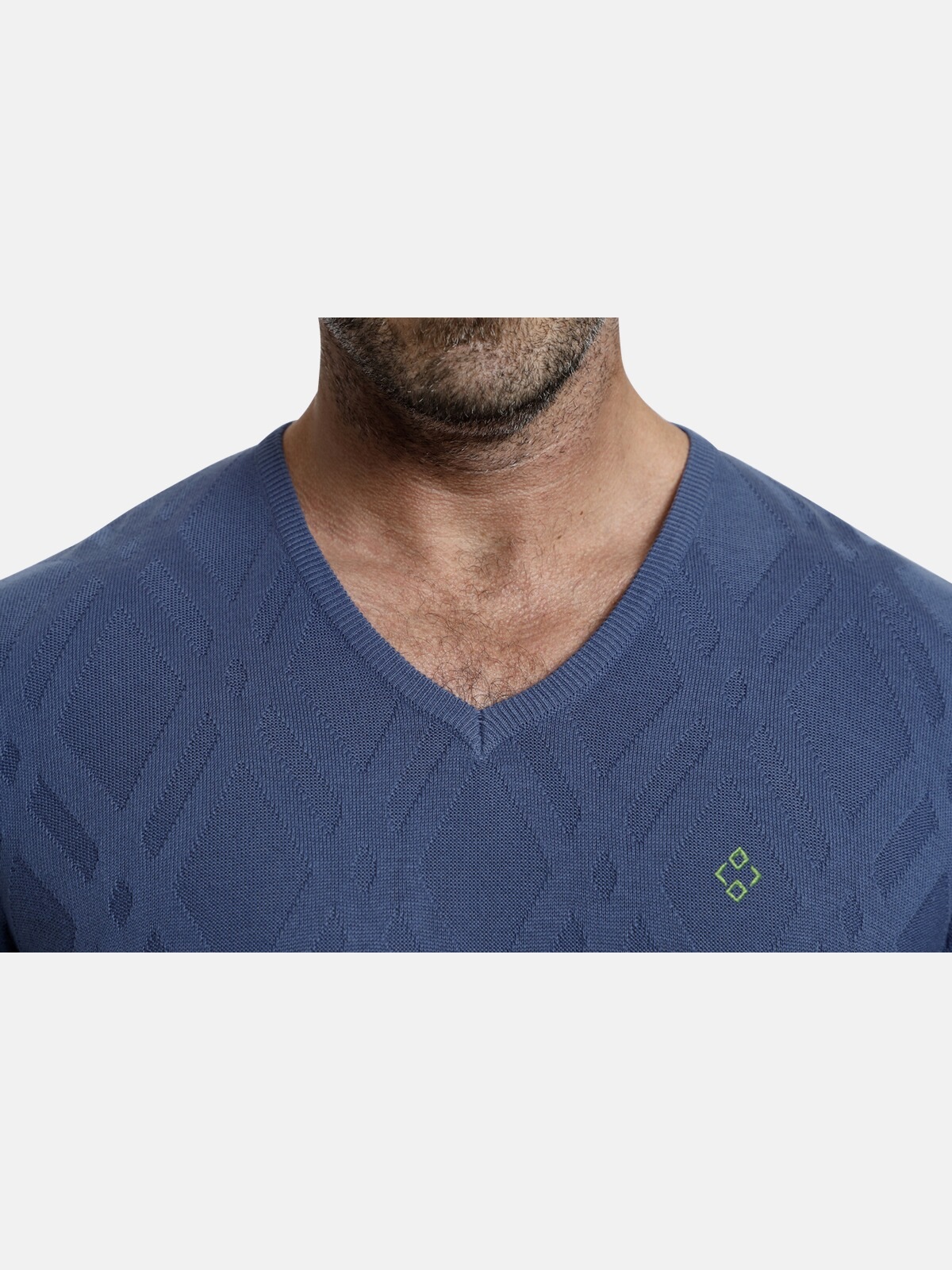Charles Colby Rundhalspullover »Pullover EARL BUAN«