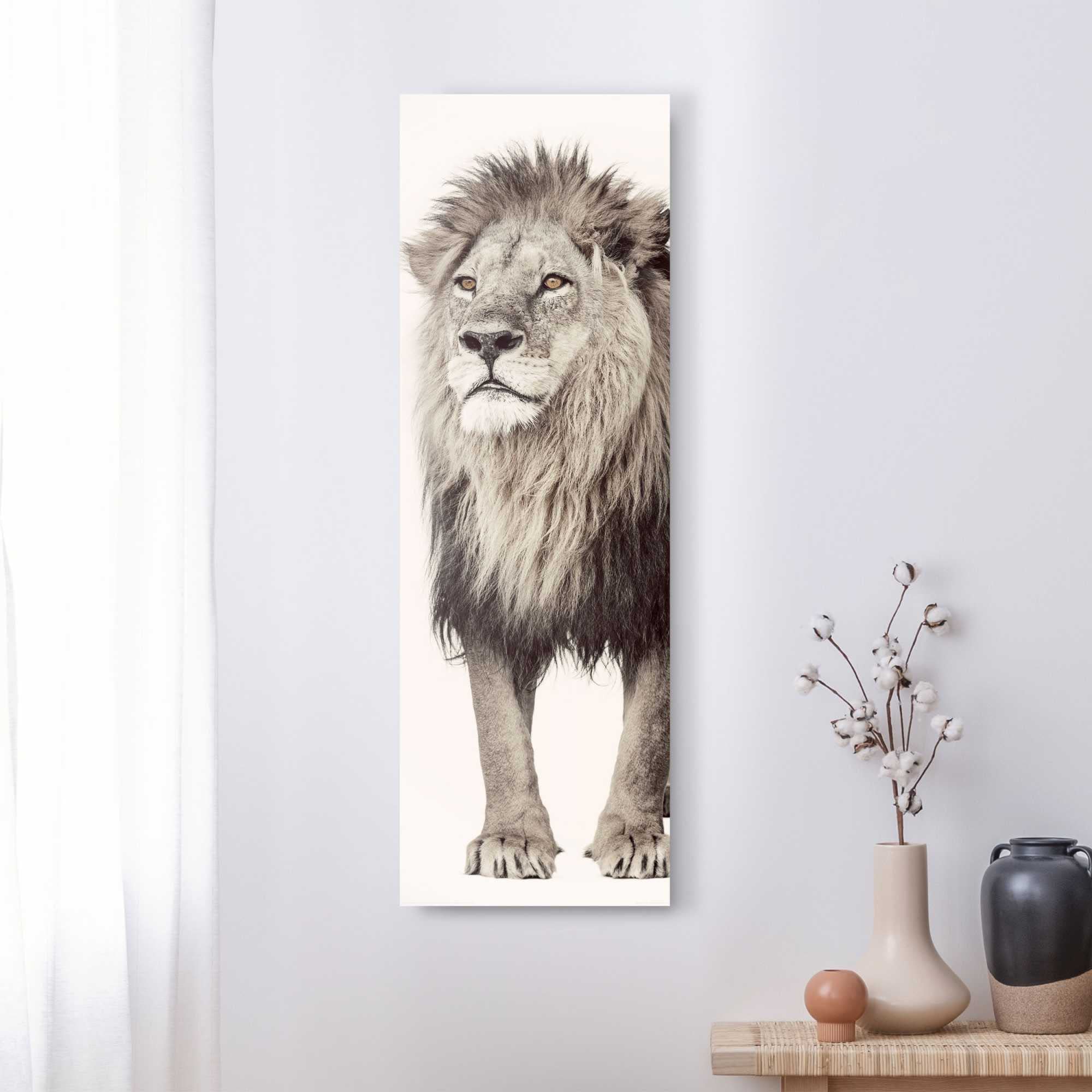 Reinders! Wandbild »Wandbild Löwe König des Dschungels - Raubtier -  Kräftig«, Löwen, (1 St.) online bei OTTO