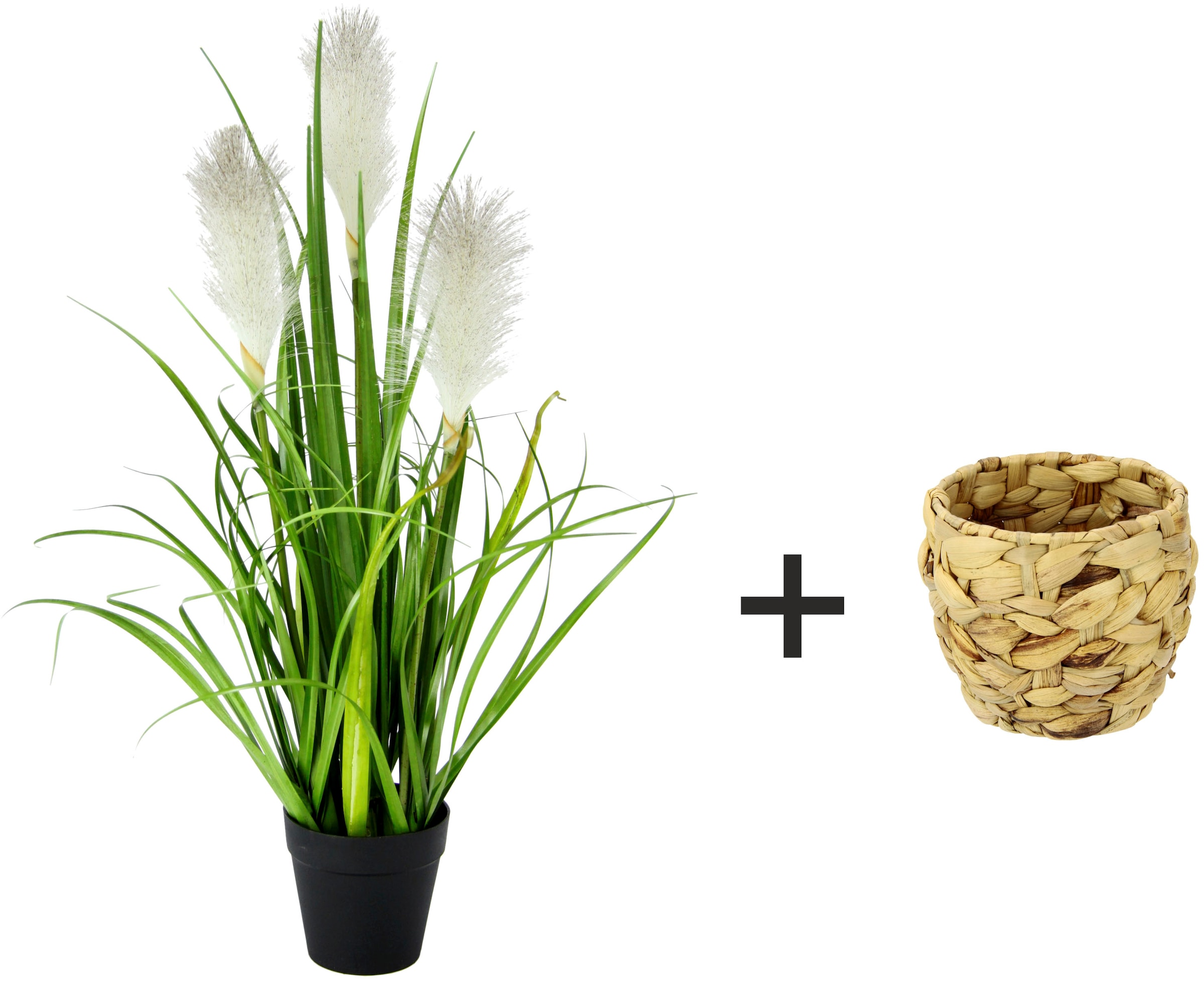 I.GE.A. Kunstpflanze »Pampasgras« Mit Übertopf, künstliches Pampas Gras
