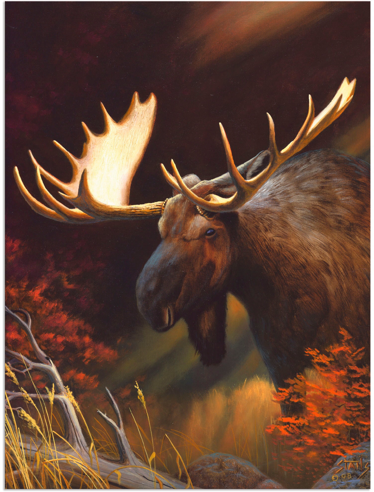 Artland Wandbild »Elch Foto«, Wildtiere, (1 St.), in vielen Größen & Produktarten - Alubild / Outdoorbild für den Außenbereich, Leinwandbild, Poster, Wandaufkleber / Wandtattoo auch für Badezimmer geeignet