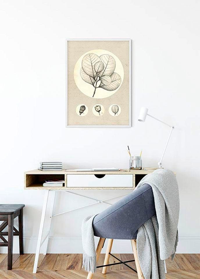 Komar Bild »Transparent Leaf«, Pflanzen-Blätter, (1 St.), Wandbild zur Dekoration - ohne Rahmen
