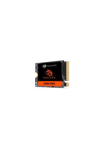 interne SSD »ZP2048GV3A002«