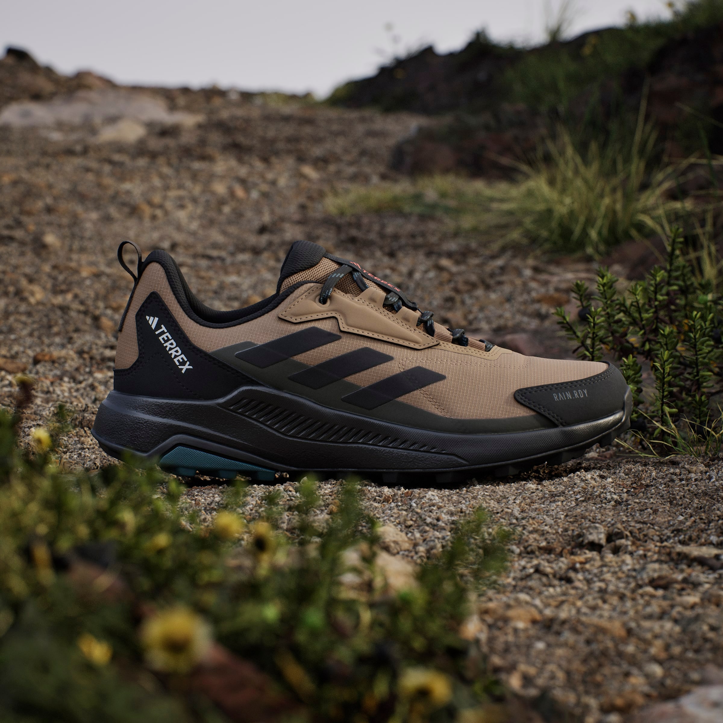 adidas TERREX Wanderschuh »TERREX ANYLANDER RAIN.RDY«  wasserdicht