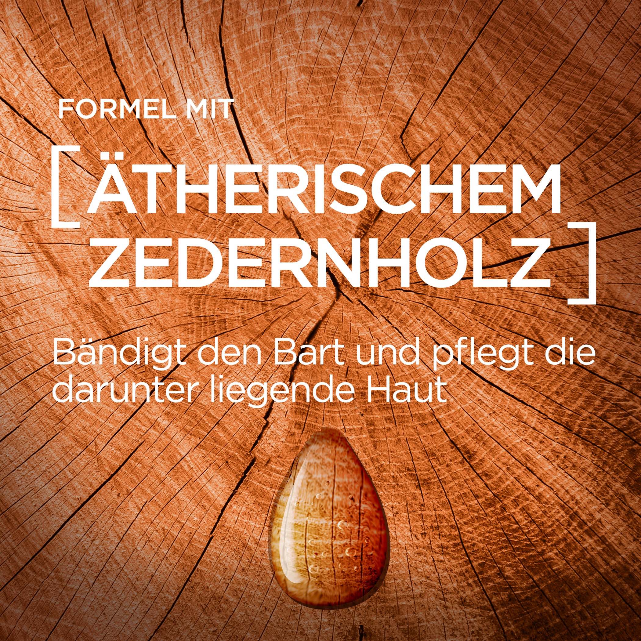 L'ORÉAL PARIS MEN EXPERT Bartöl »Barber Club«, mit Zedernholzöl