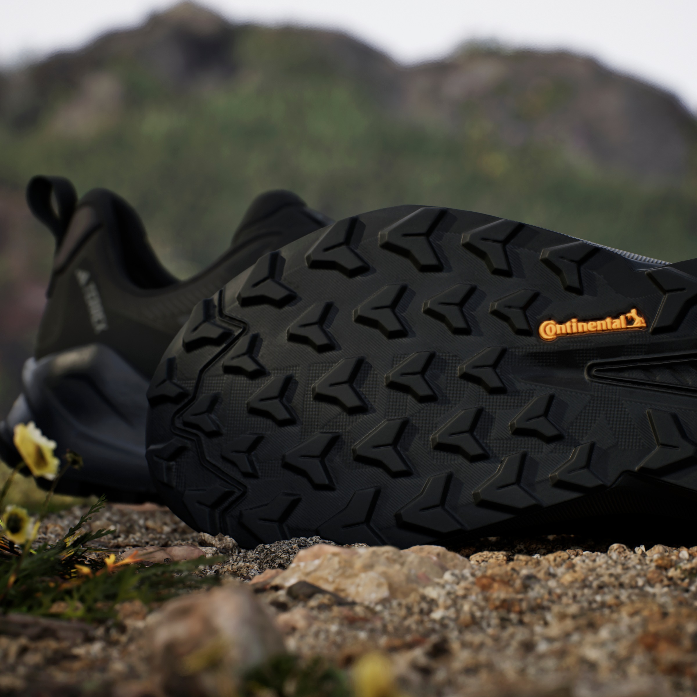 adidas TERREX Wanderschuh »TRAILMAKER 2«
