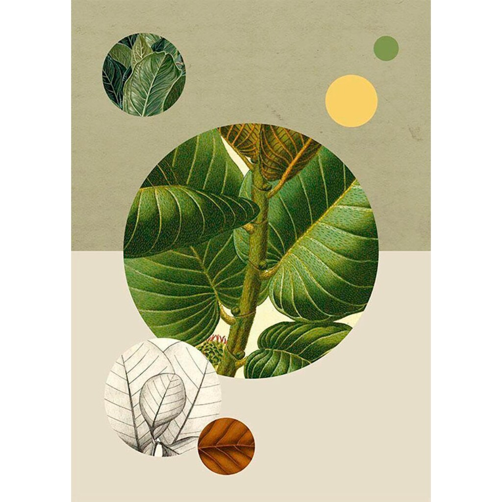 Komar Poster »Green Structure«, Pflanzen-Blätter, (1 St.)