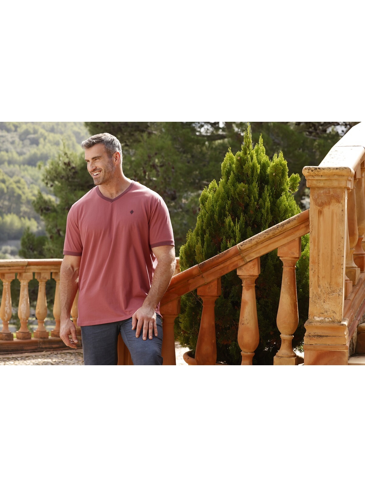 Charles Colby V-Shirt »T-Shirt EARL BERKANT«, (1 tlg.), mit Hahnentritt-Muster
