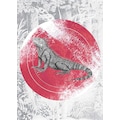 Komar Poster »Iguana Circle«, Tiere, Höhe: 40cm