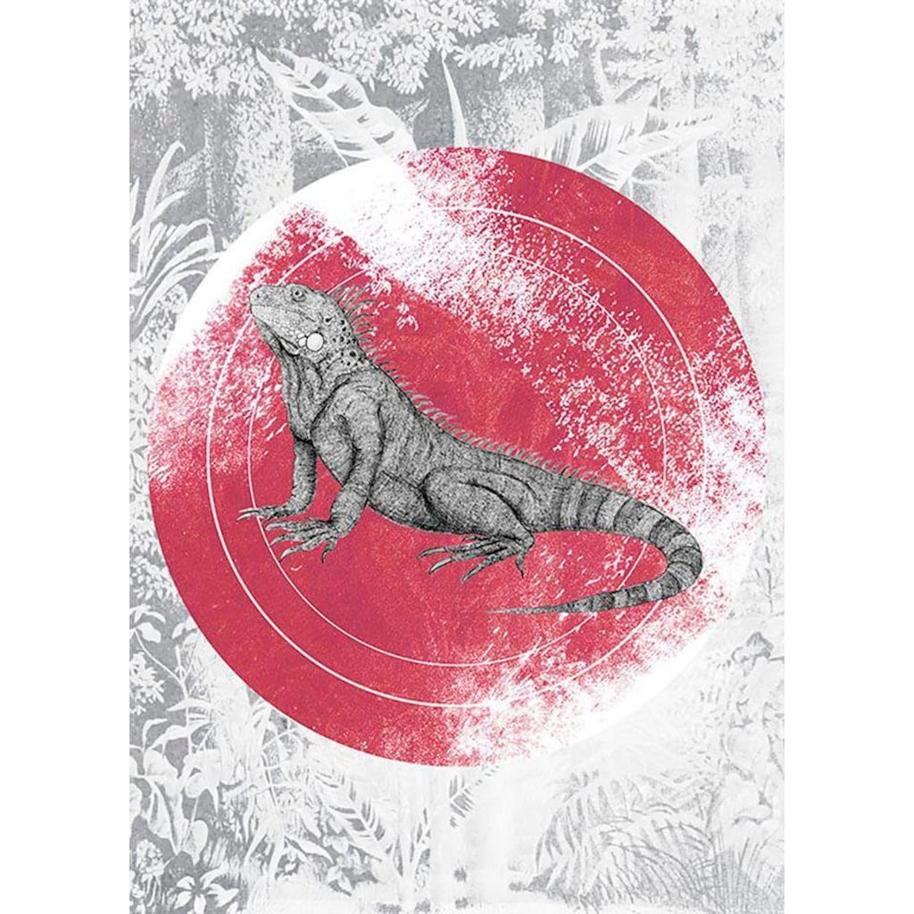 Komar Poster »Iguana Circle«, Tiere, (1 St.)