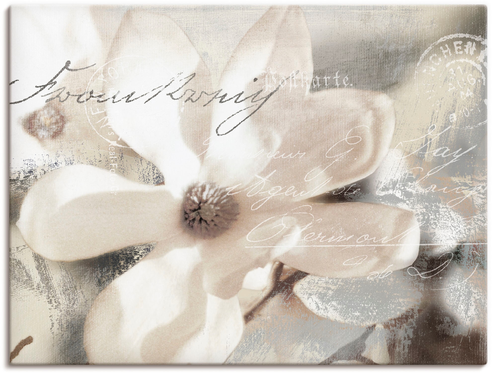 Artland Wandbild »Magnolie_Detail«, Blumenbilder, (1 St.), als Alubild,  Leinwandbild, Wandaufkleber oder Poster in versch. Größen kaufen im OTTO  Online Shop