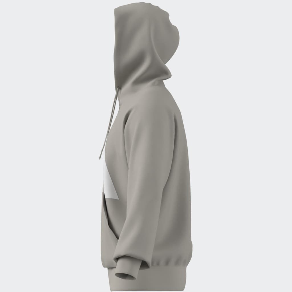 adidas Sportswear Kapuzensweatshirt »M BL FL HD«