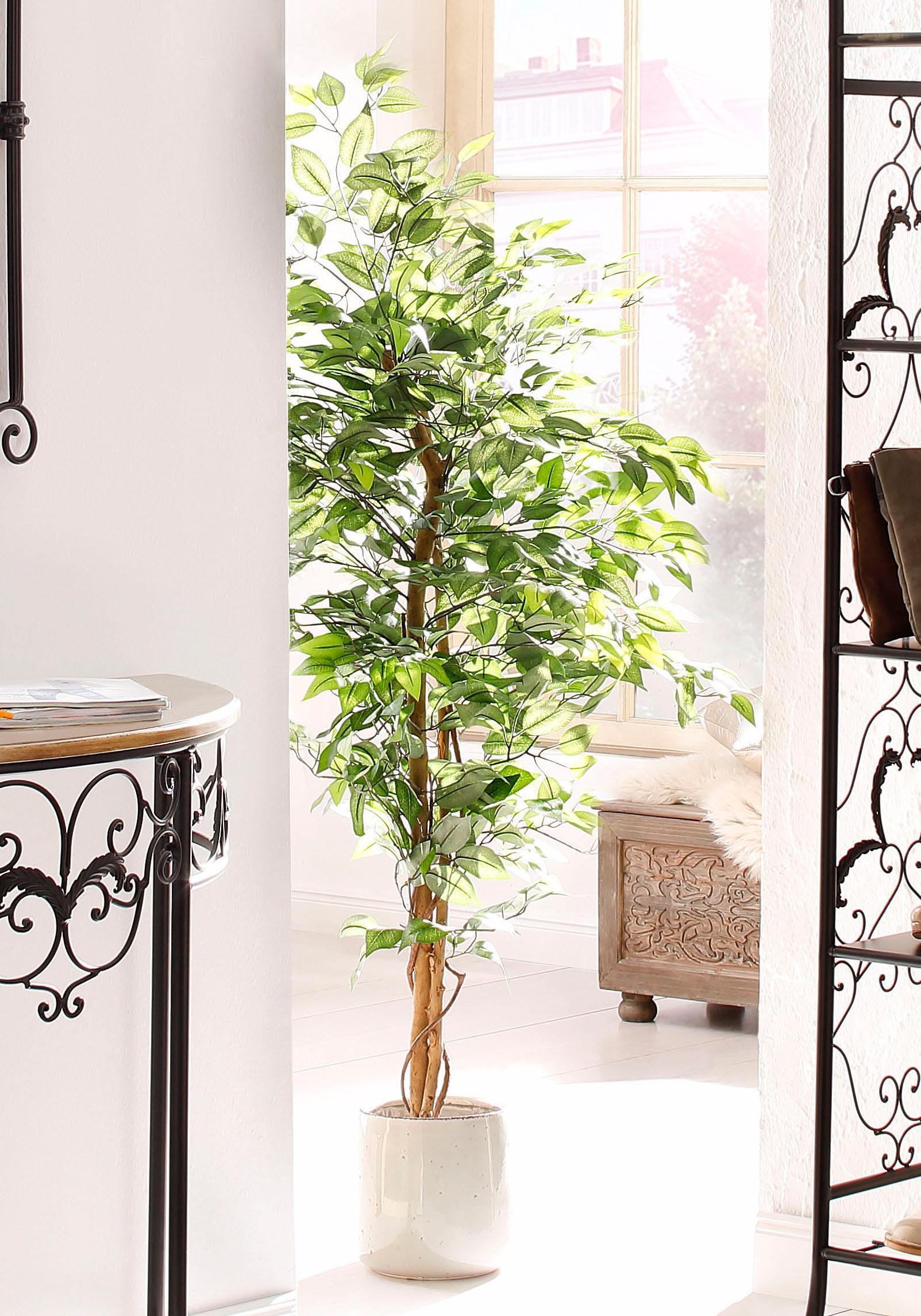 Creativ green Kunstpflanze »Ficus Benjamini«