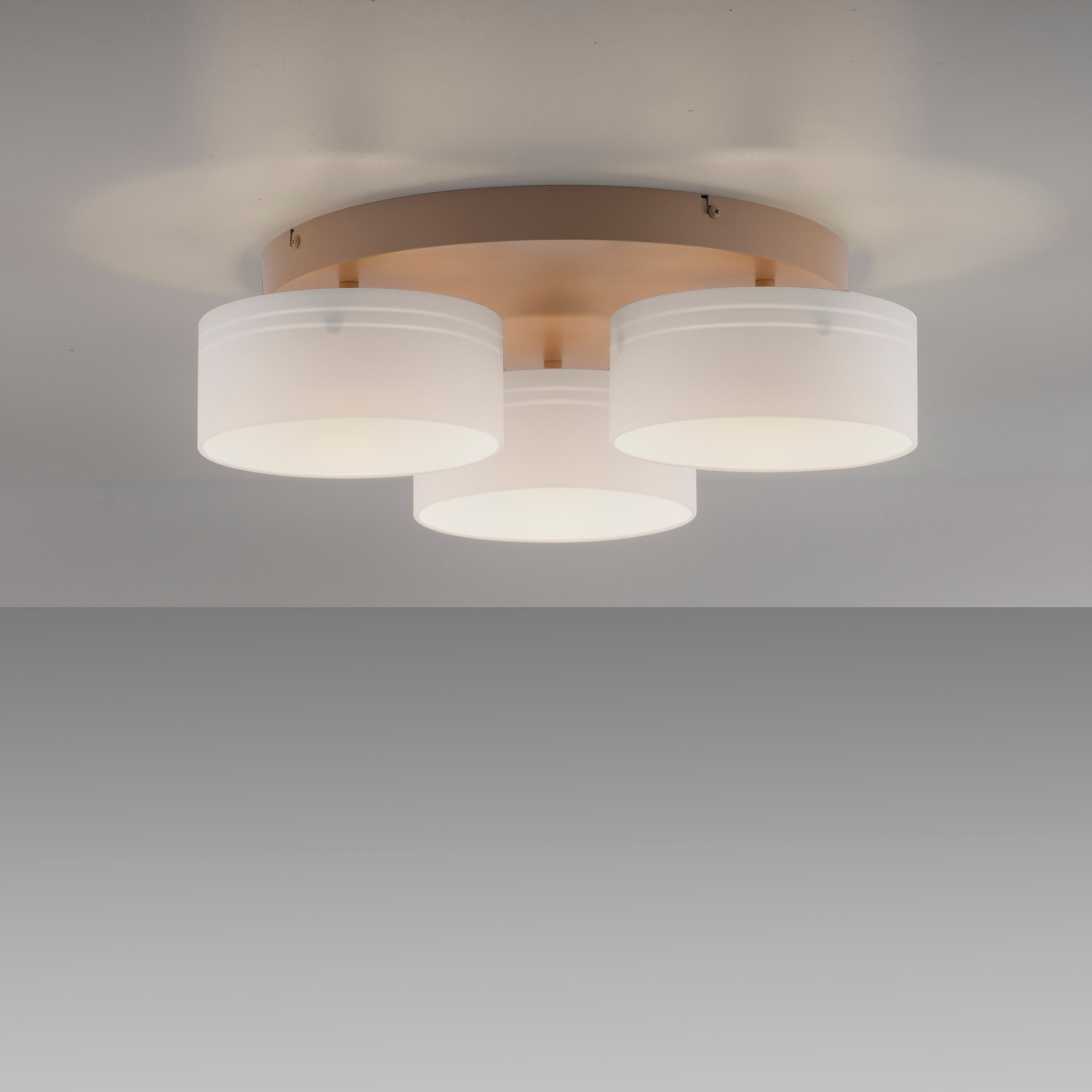 Paul Neuhaus LED Deckenleuchte »MARIKA« LED-Board 1 Stk. Warmweiß Stufenlos dimmbar über den Lichtschalter, Memoryfunktion, Opalgläser