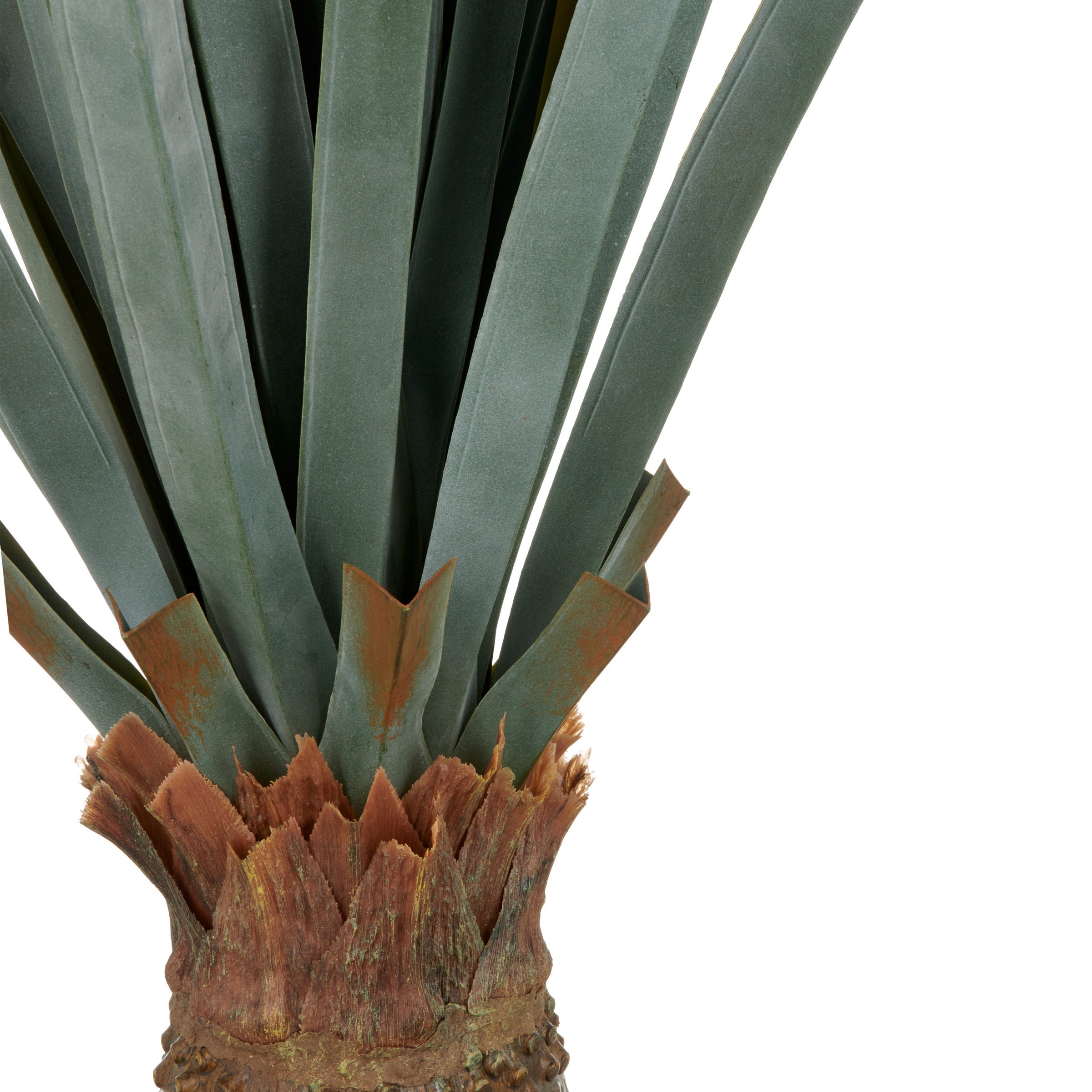 Creativ green Kunstpflanze »Agave angustifolia« in beeindruckender Größe