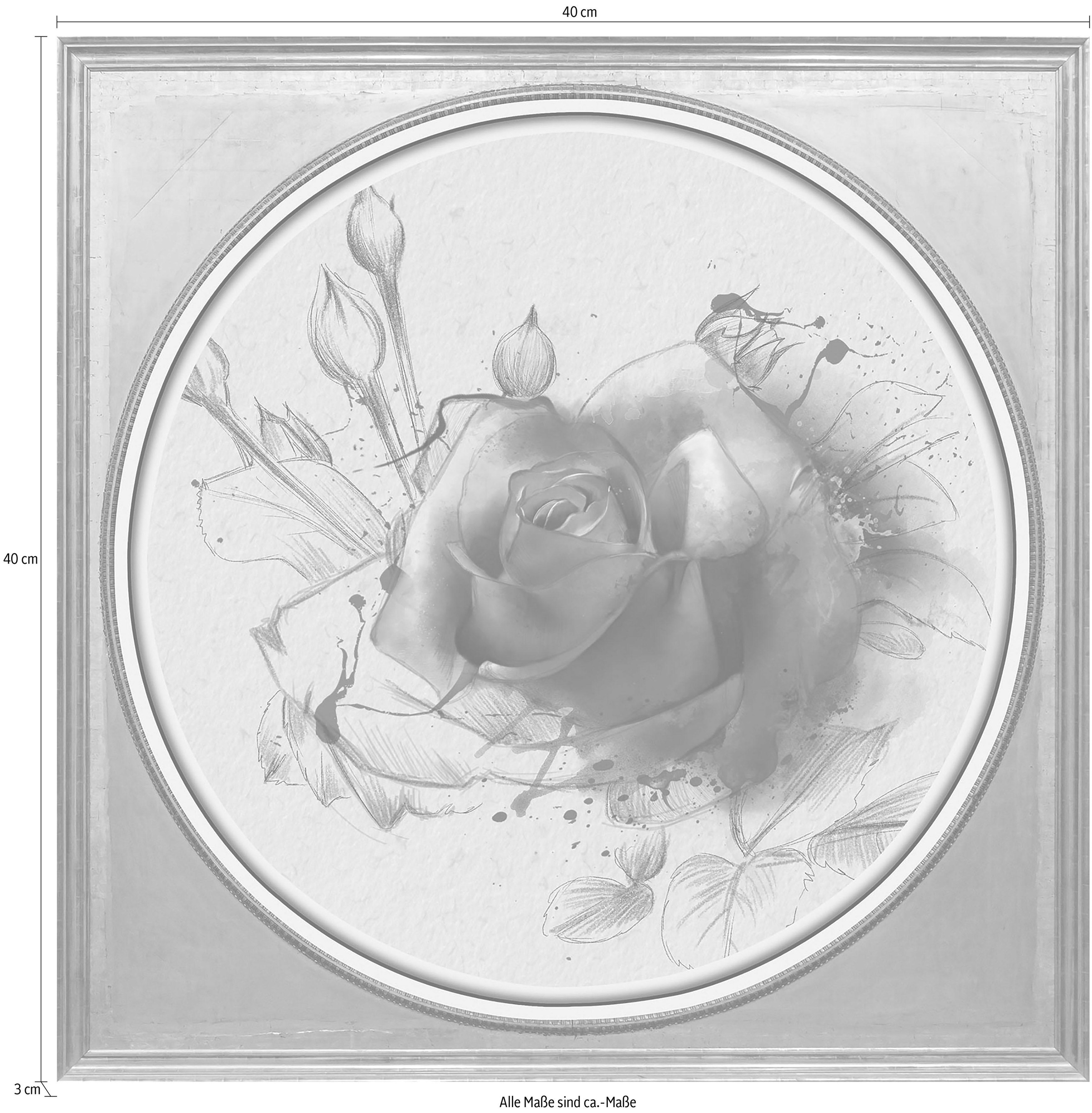 queence Acrylglasbild »Rosa Rose« Blumenbilder | Gemälde | Kunst | Pflanzen | Pflanzenbilder Fine Art-Print in Galeriequalität