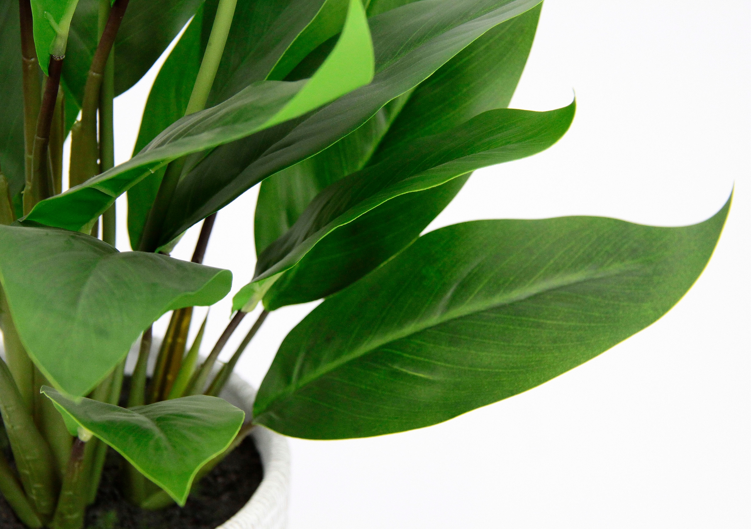 I.GE.A. Kunstpflanze »Spathiphyllum«, im Topf Anthurie Calla Flamingoblume exotische Pflanze weiße Blüten