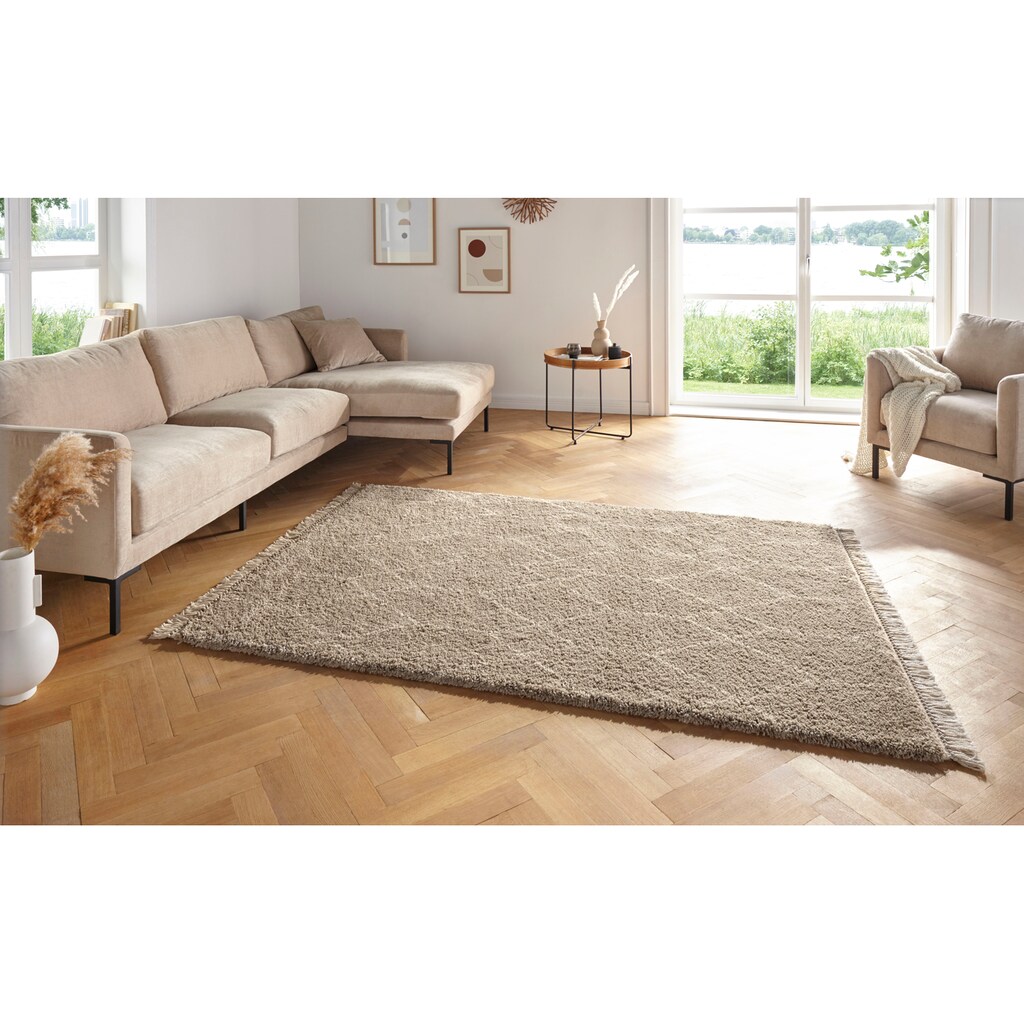 freundin Home Collection Hochflor-Teppich »Panihe«, rechteckig