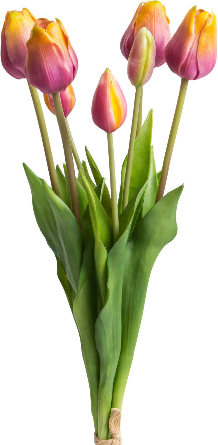 Botanic-Haus Kunstblume »Tulpenbündel real Touch«, (1 St.) bestellen im  OTTO Online Shop