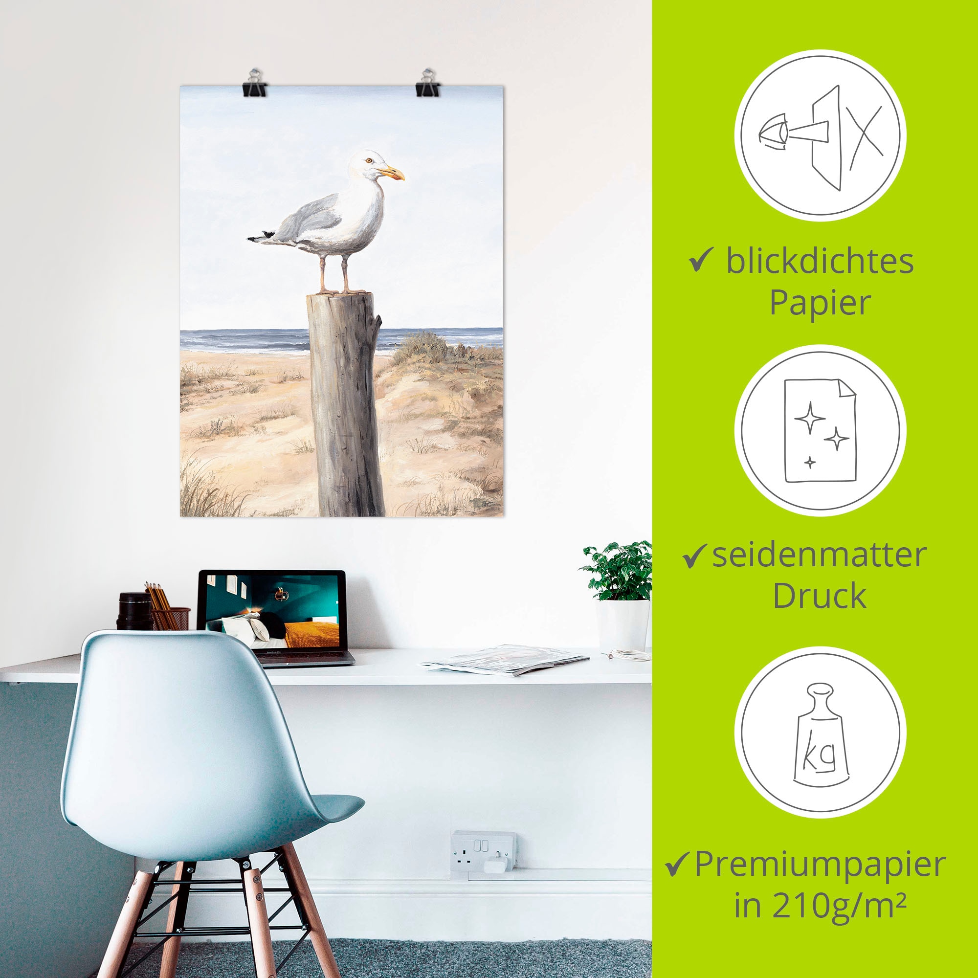 Artland Wandbild »Möwe«, Vögel, (1 St.), als Alubild, Outdoorbild, Leinwandbild, Poster, Wandaufkleber
